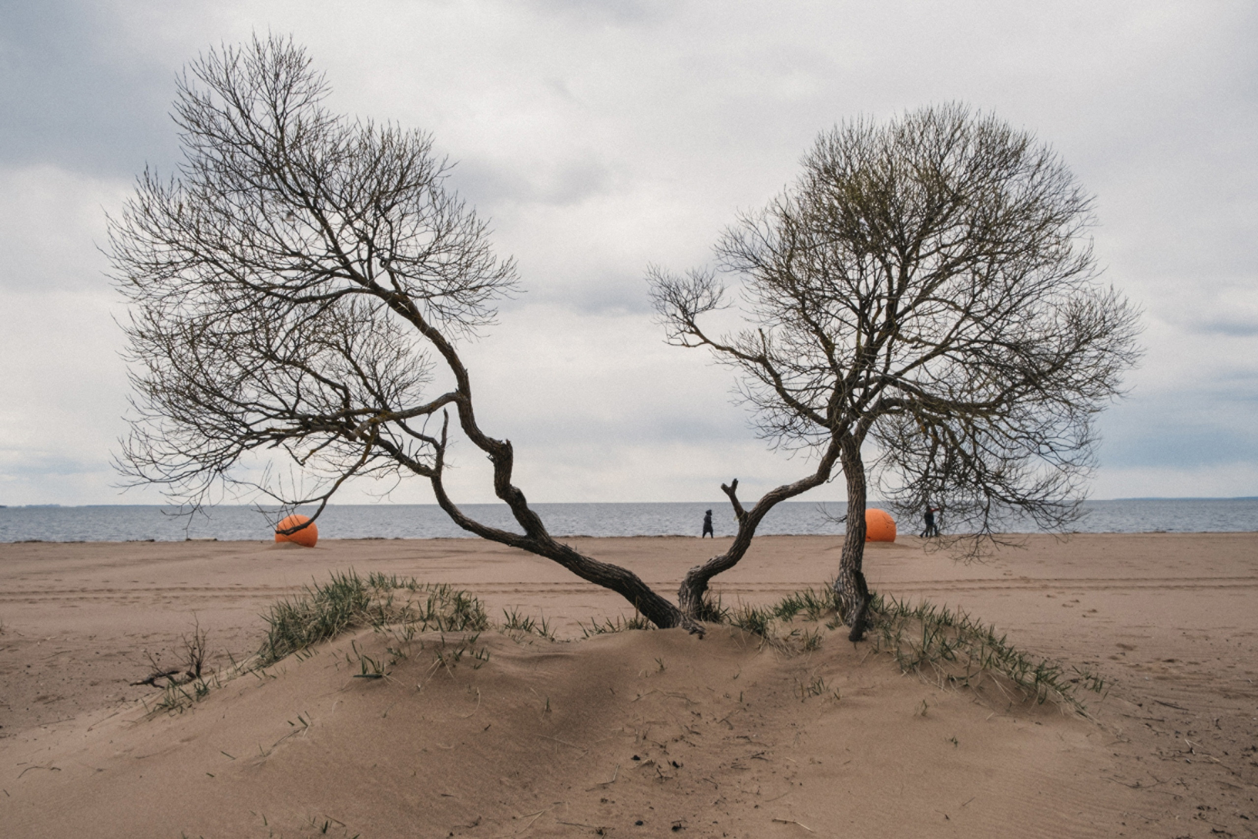 Питер. Семейный, репортажный, арт, предметный фотограф в Липецке Олеся Межова