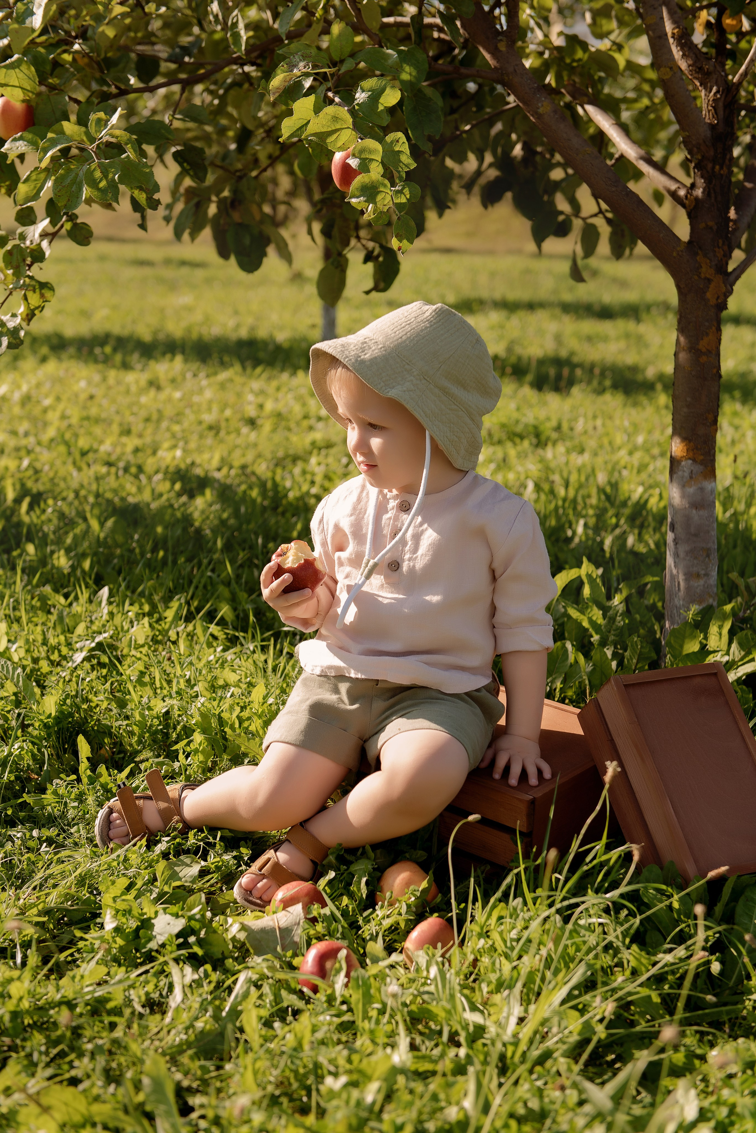 Яблоневый сад. Детский фотограф в Долгопрудном и Москве