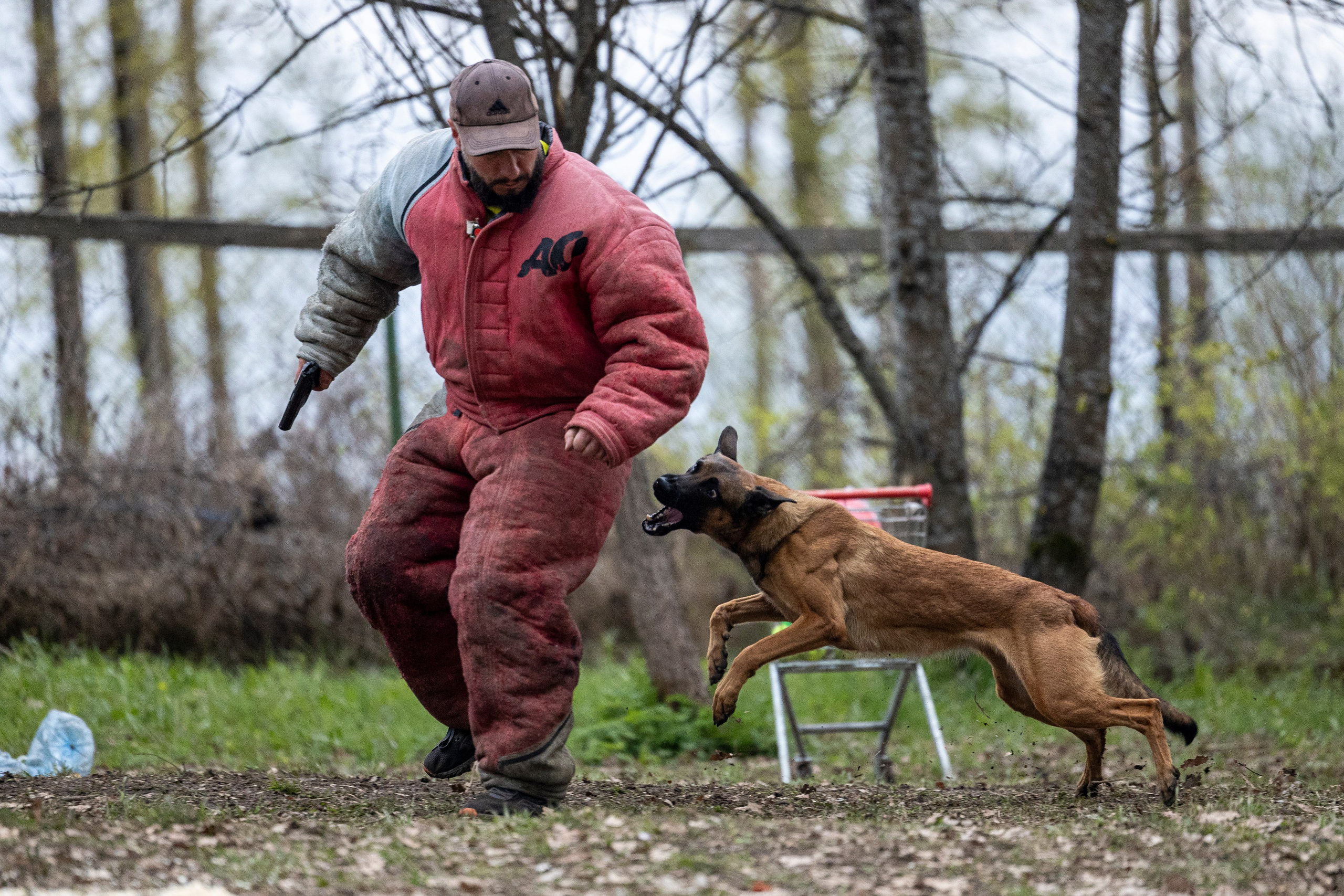 Квалификационные состязания по мондьорингу г. Вологда 11.05.24. Фотограф-анималист Анна Маринич