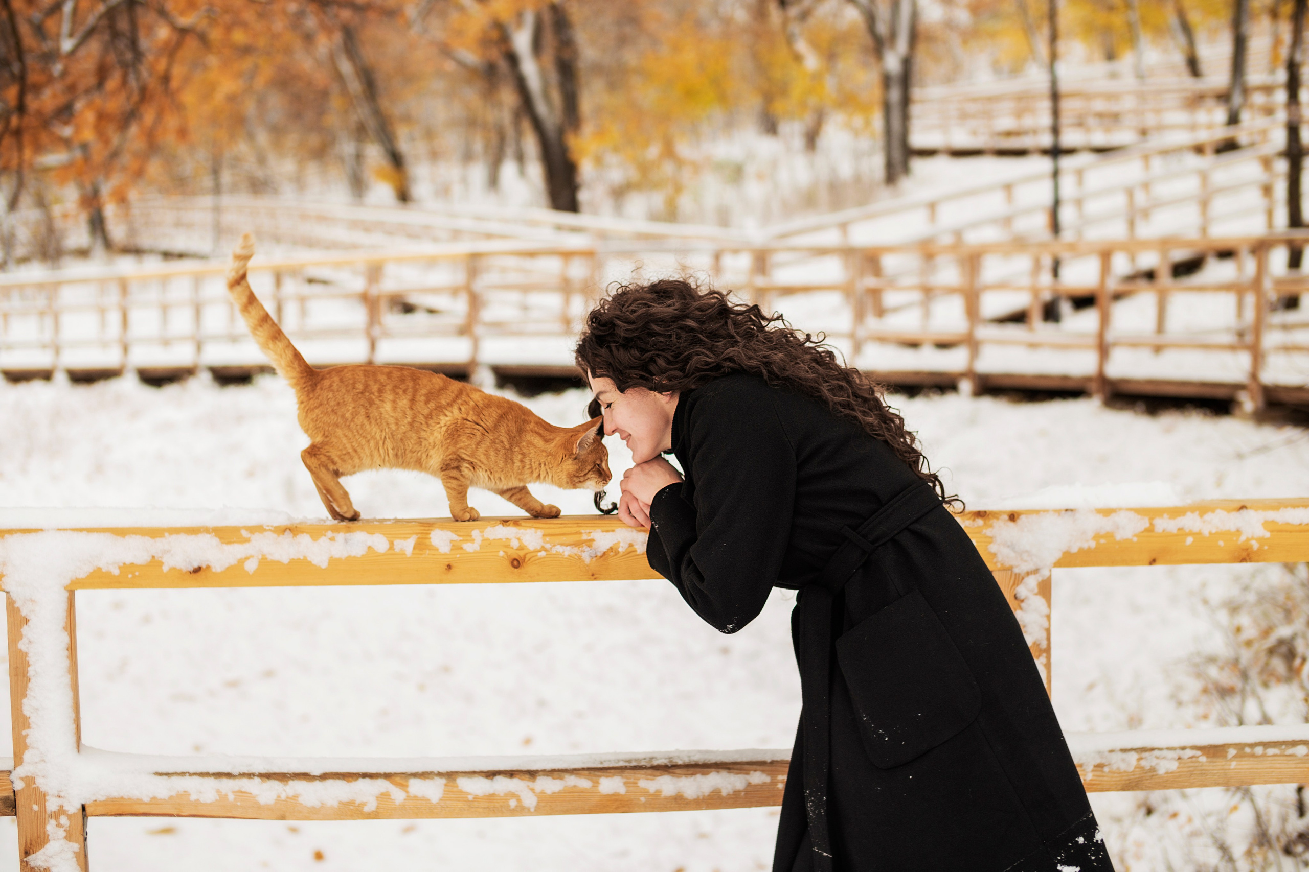 Индивидуальная съемка. Семейный фотограф в Саратове