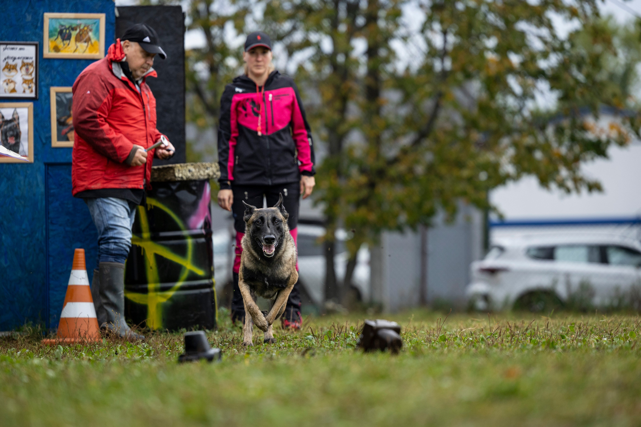 Испытания по Мондьорингу г. Пушкин. Фотограф-анималист Анна Маринич