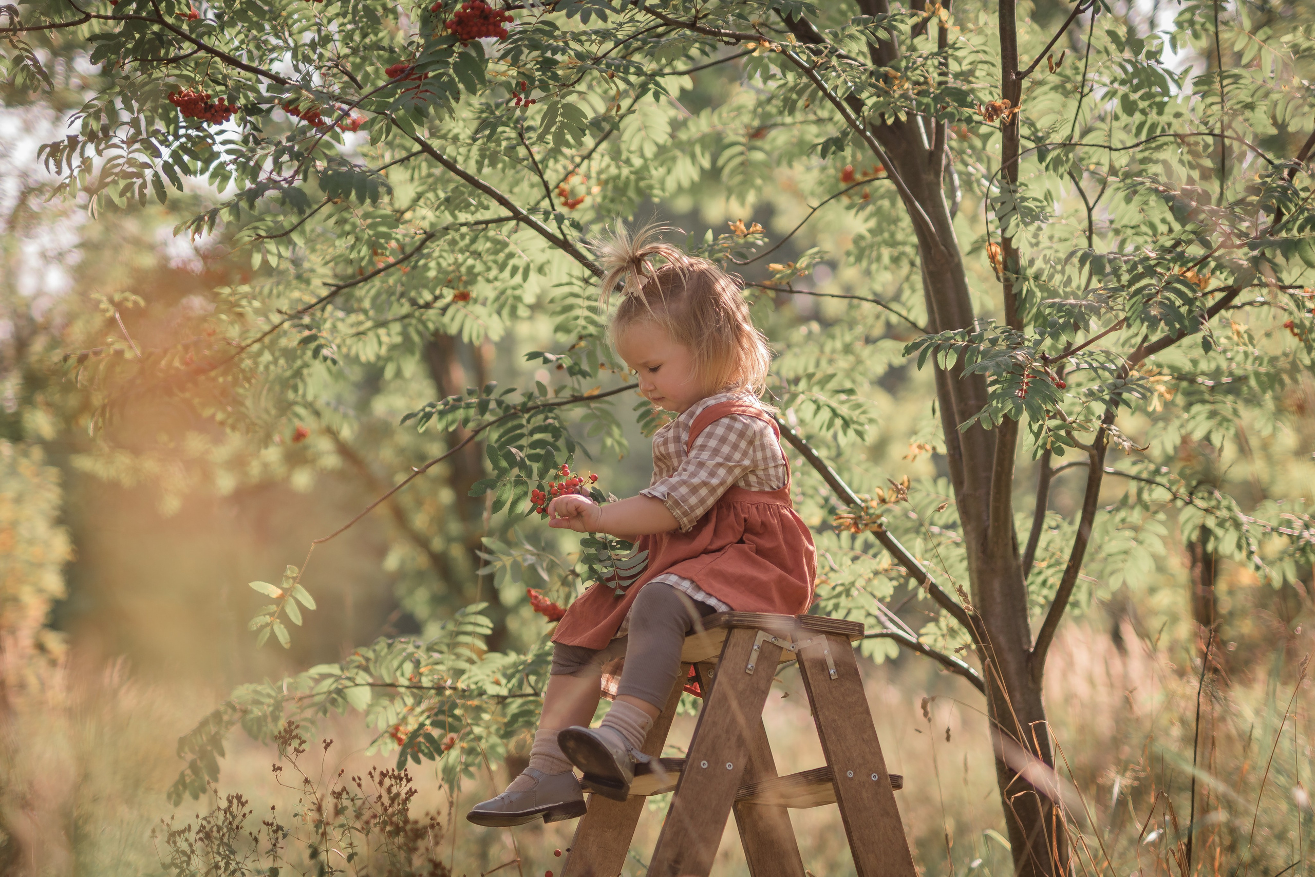 Яблочный сад. Семейный фотограф Ефремова Виктория