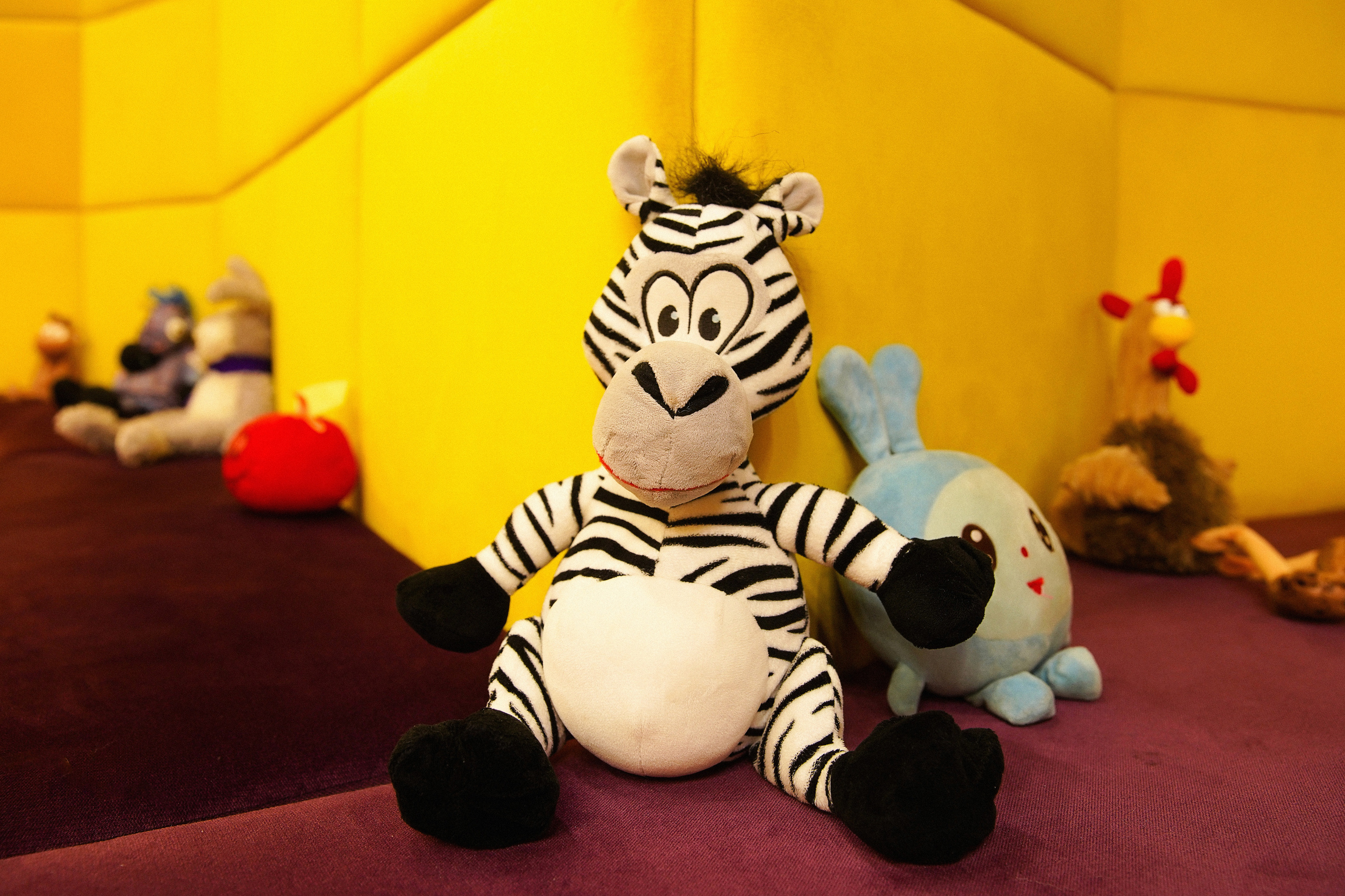 Интерьерная съёмка для стоматологической клиники TOP DENTAL STUDIO. Портретный, семейный и свадебный фотограф в Курске Роман Сазонов