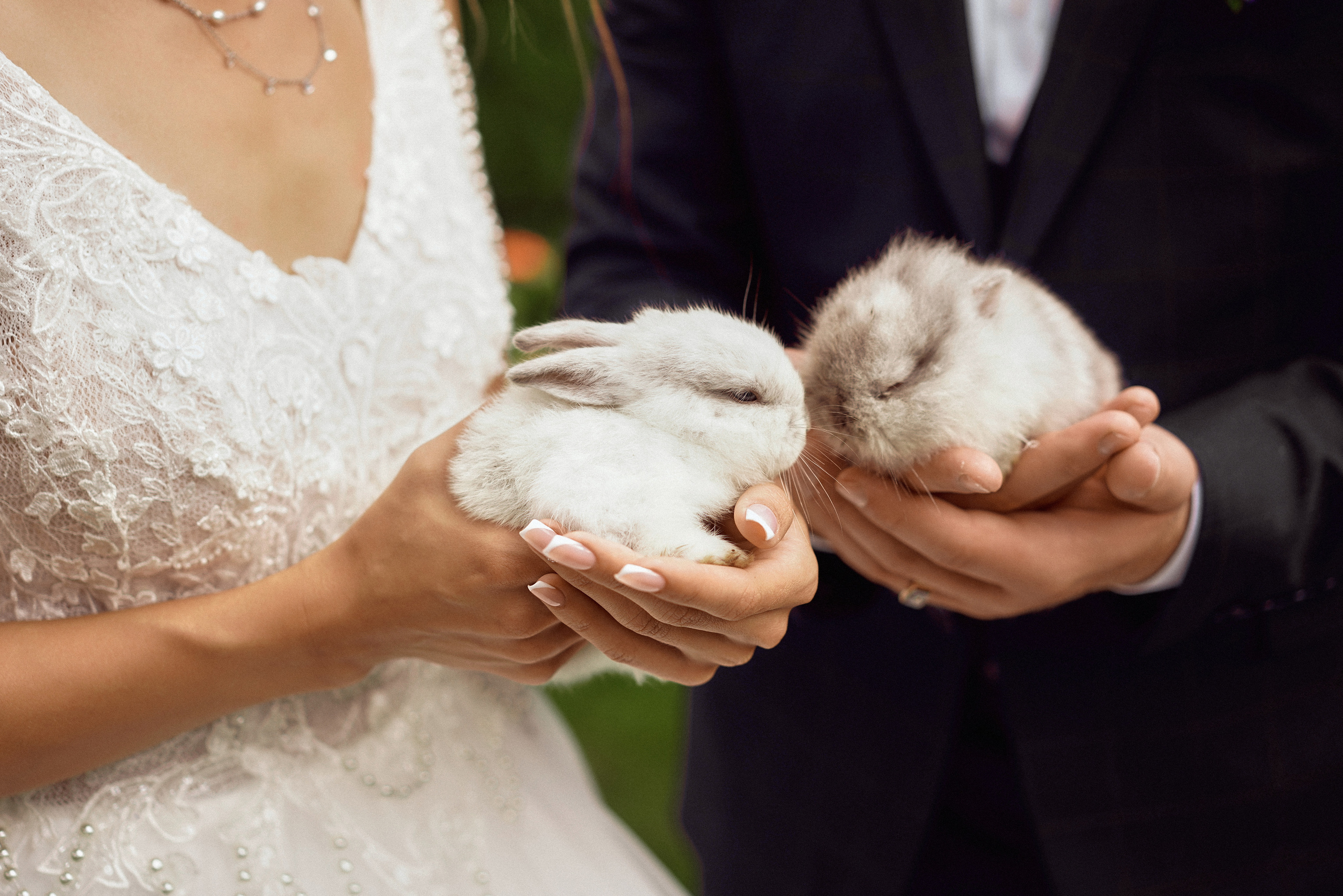 Свадьба Артёма и Елены. Портретный, семейный и свадебный фотограф в Курске Роман Сазонов