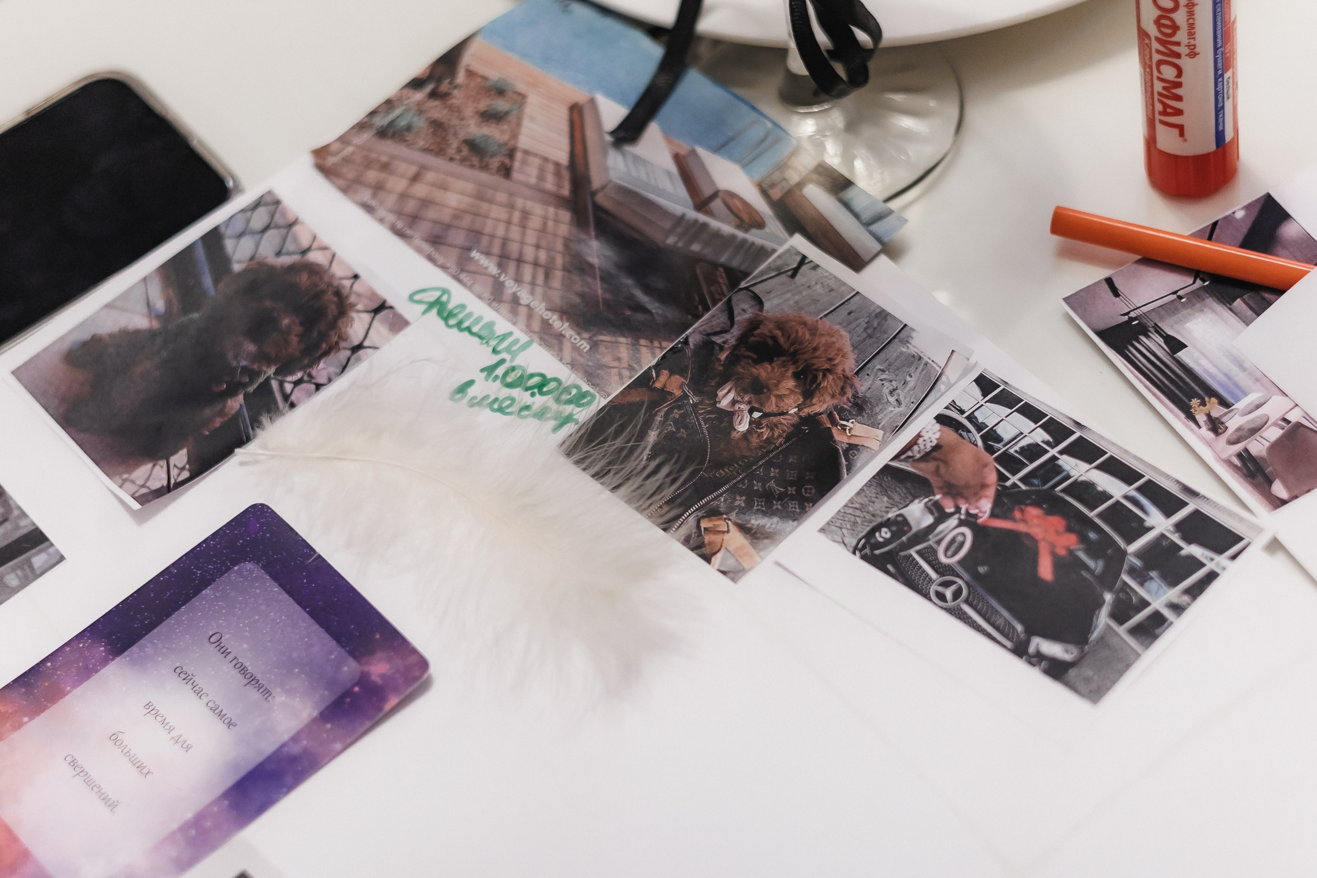 Самый красивый шабаш. Фотограф в Волгограде — Александра Искандерова