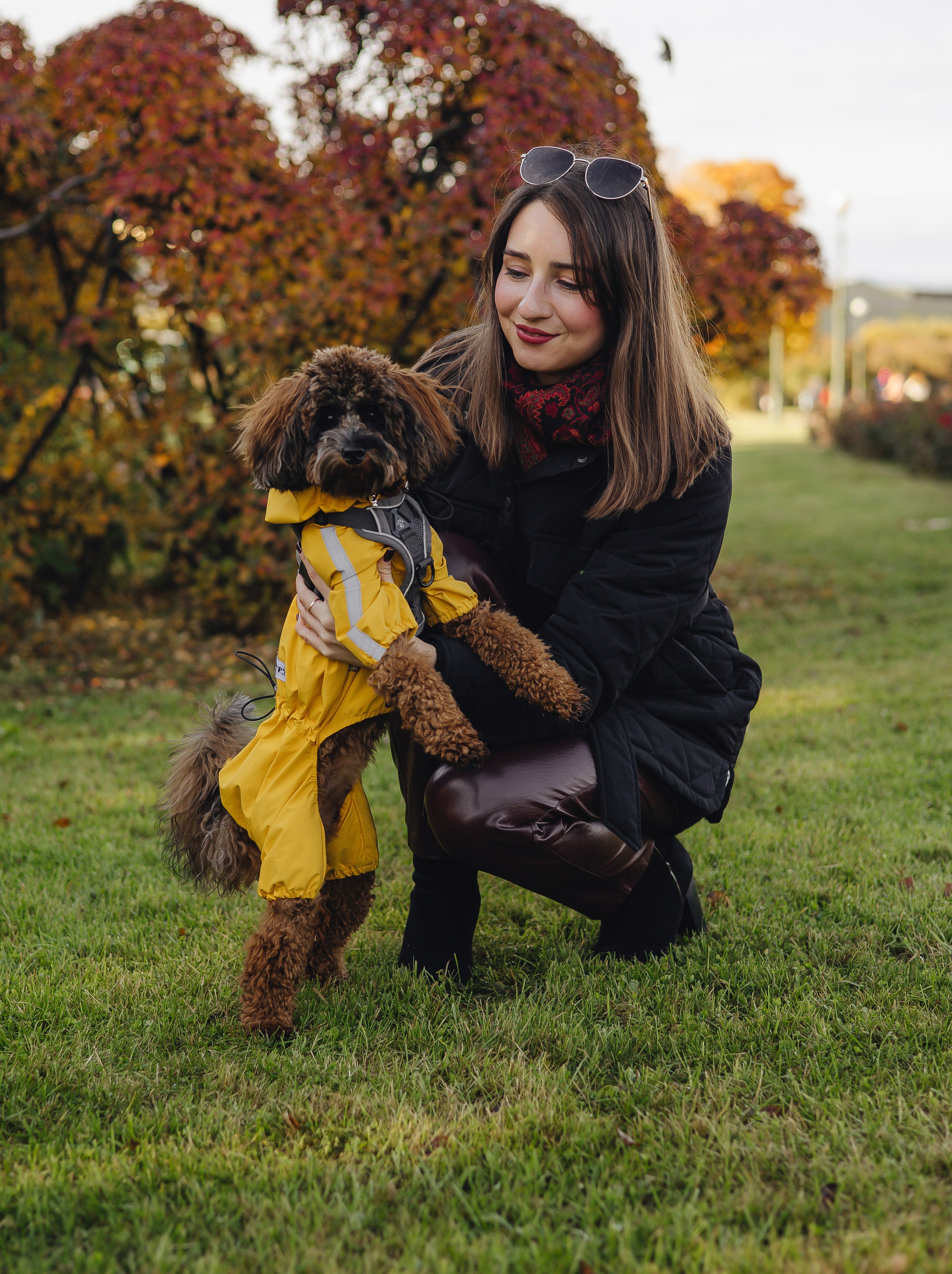 Летающая Мерси