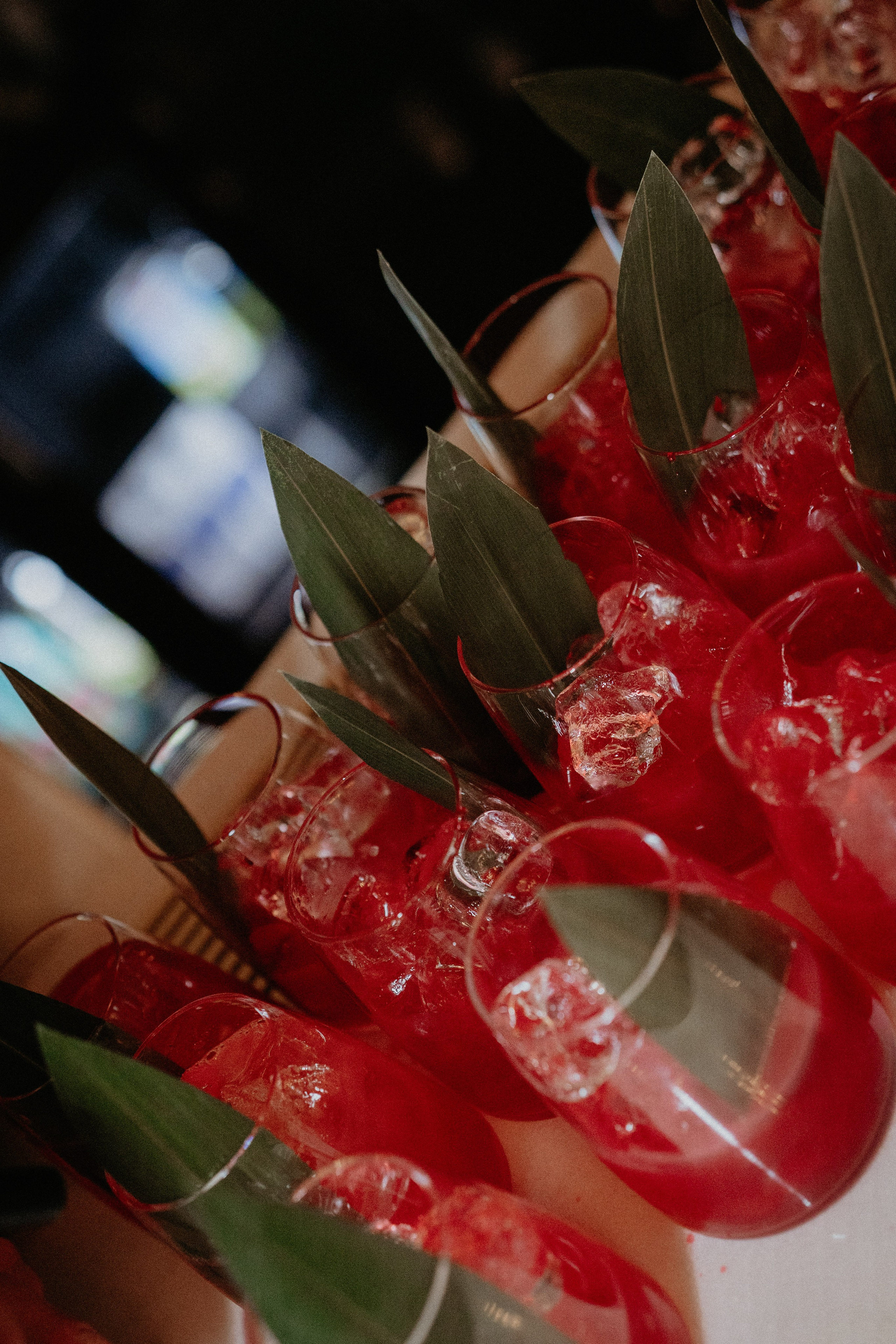 Открытие гастробара. Фотограф и Видеограф Севастополь Крым