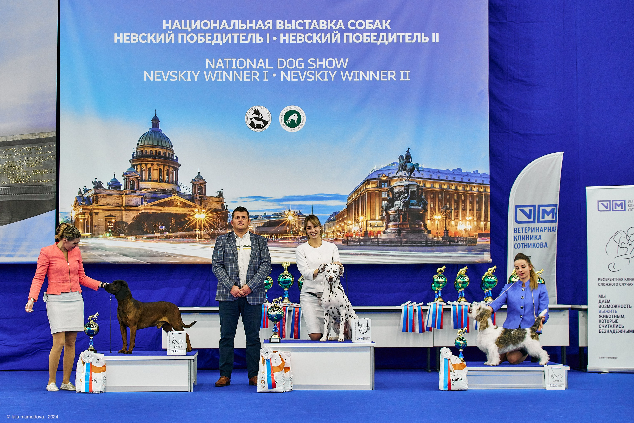 РЕЙТИНГОВАЯ ВЫСТАВКА СОБАК ВСЕХ ПОРОД С ОСОБЫМ СТАТУСОМ"НЕВСКИЙ ПОБЕДИТЕЛЬ-2024-2"