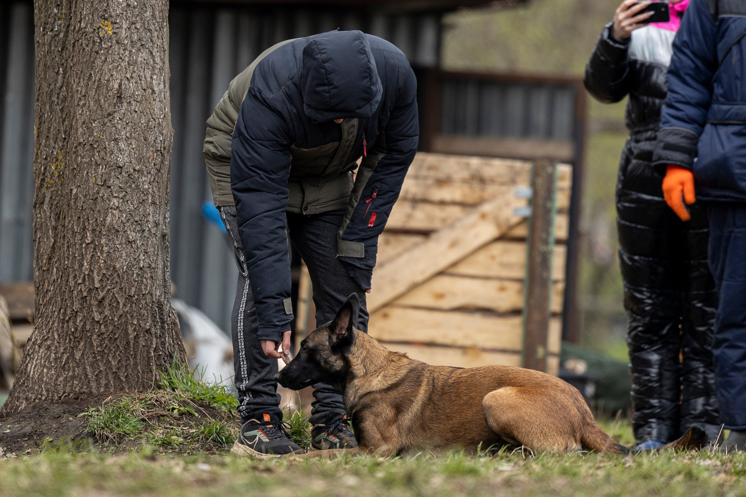 Квалификационные состязания по мондьорингу г. Вологда 11.05.24. Фотограф-анималист Анна Маринич