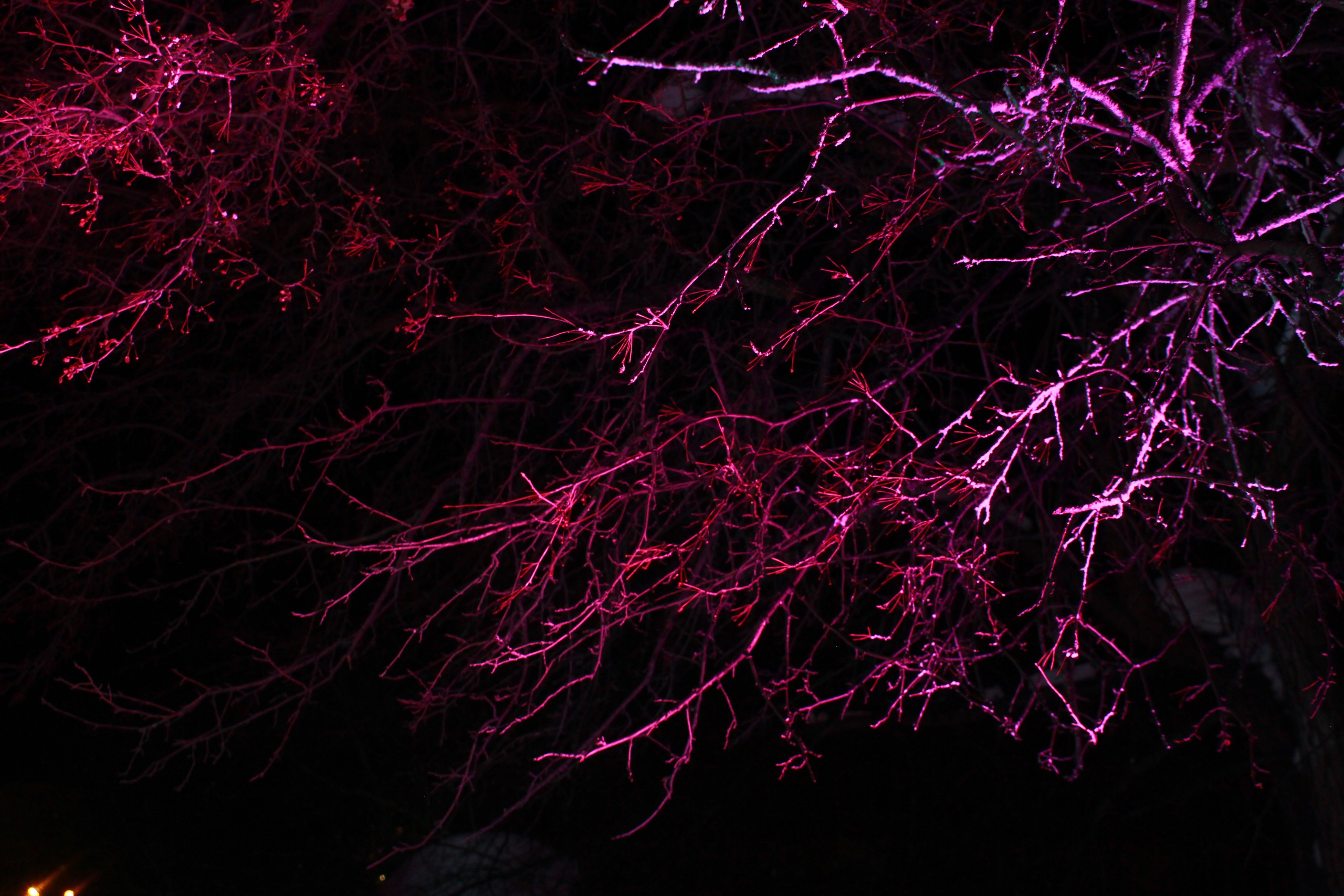 НЕ ТЕМНО 2024