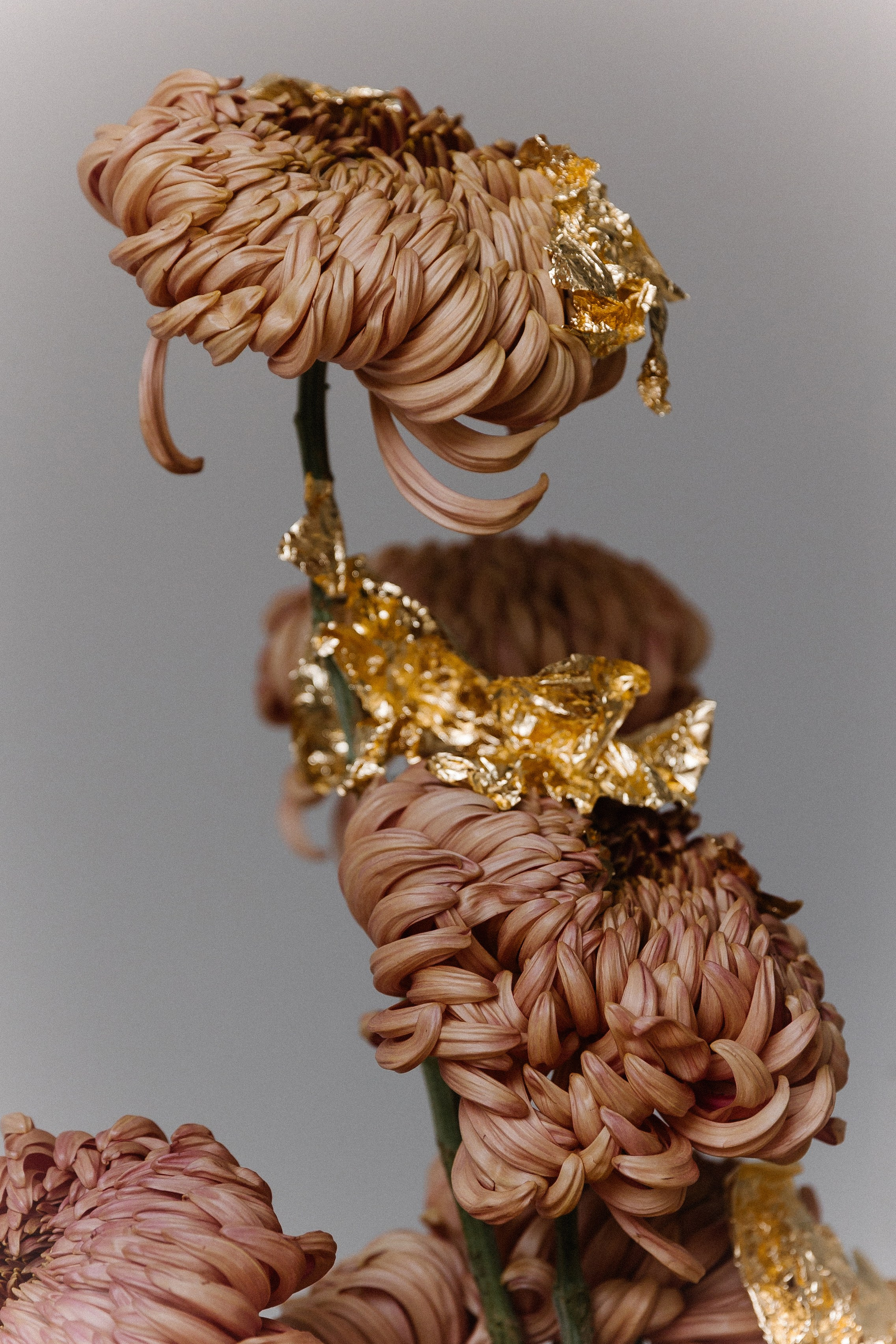 Season of soul. Фотограф Краснодар Юлия Бураченко Свадьбы Репортаж Семейные Индивидуальные съемки