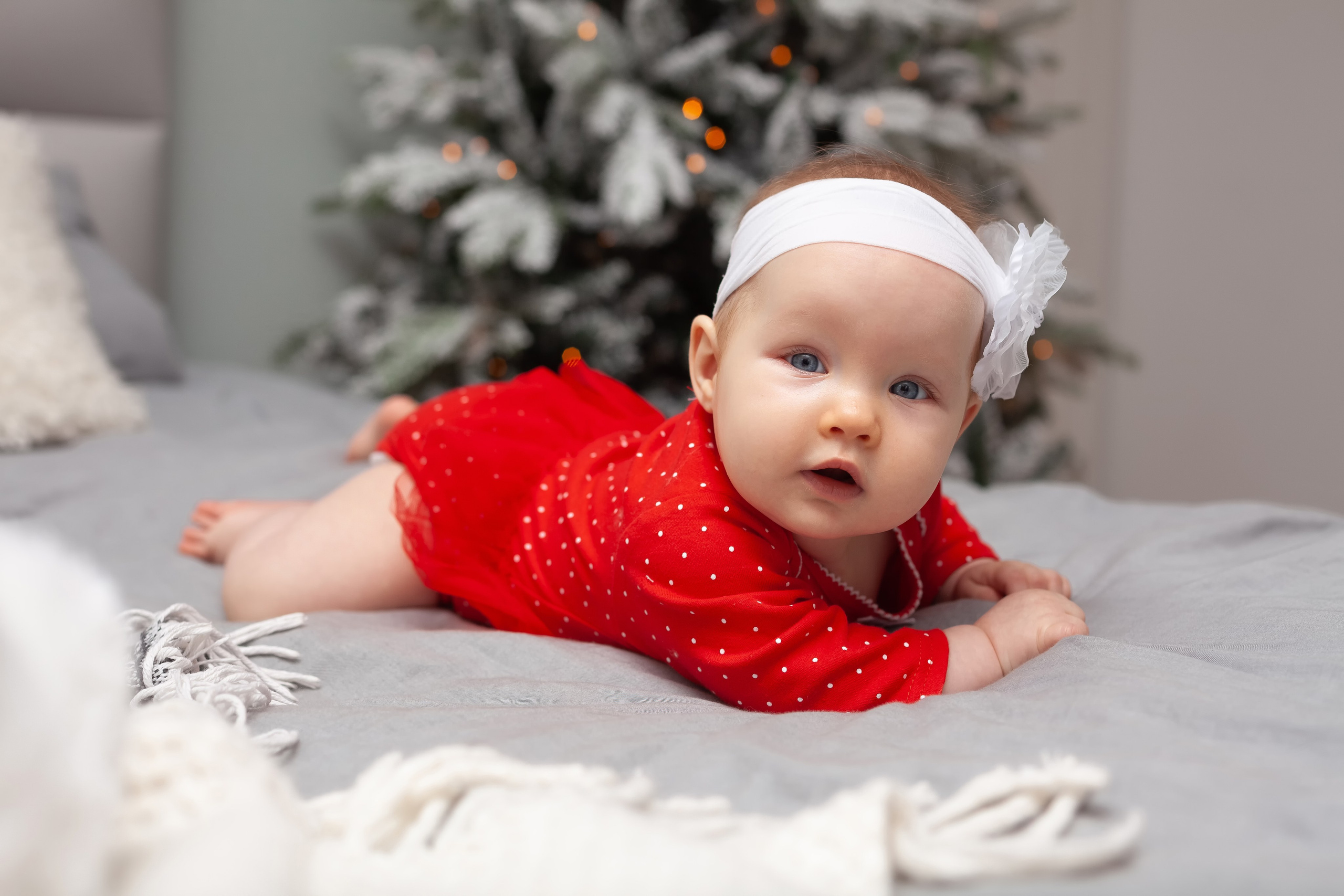 Мама, папа и малышка. Фотограф в Томске Евгения Гуляева