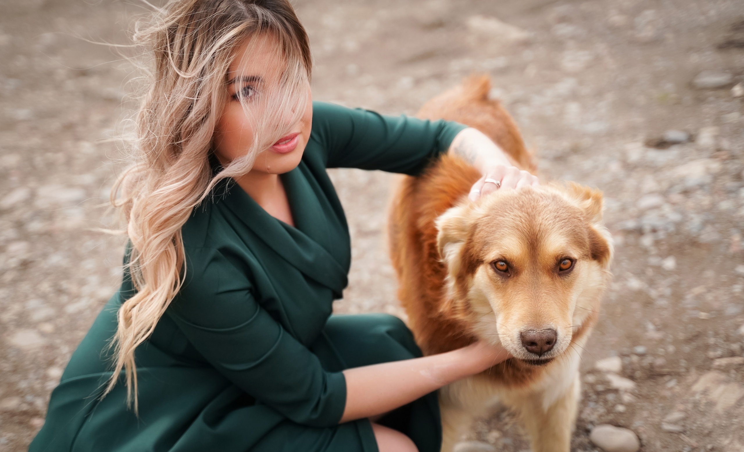 Фотосессии с лошадьми в Красноярске. Фотограф Ким Наталья в Красноярске