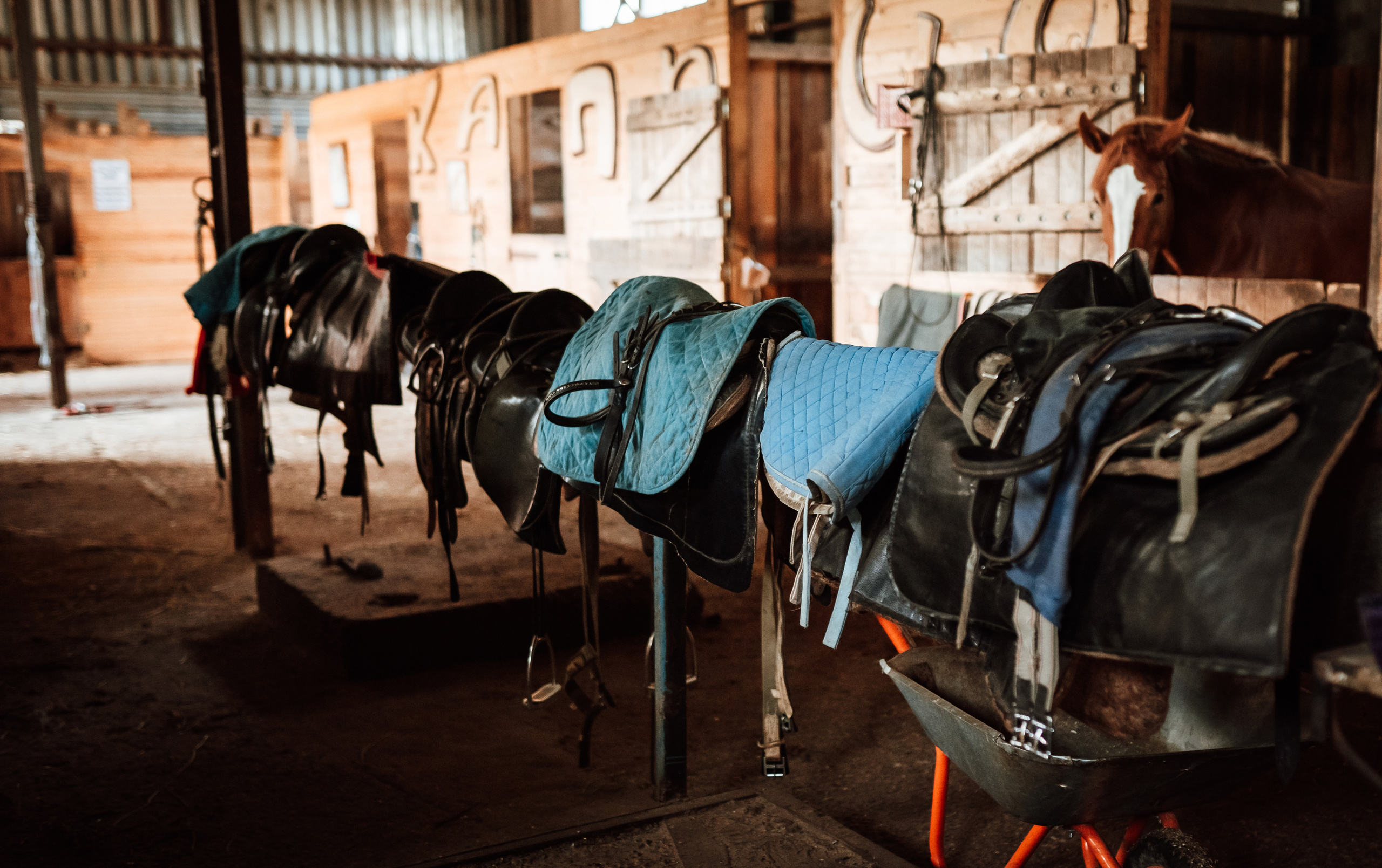 Фотосессия на конном дворе. Фотограф Ким Наталья в Красноярске