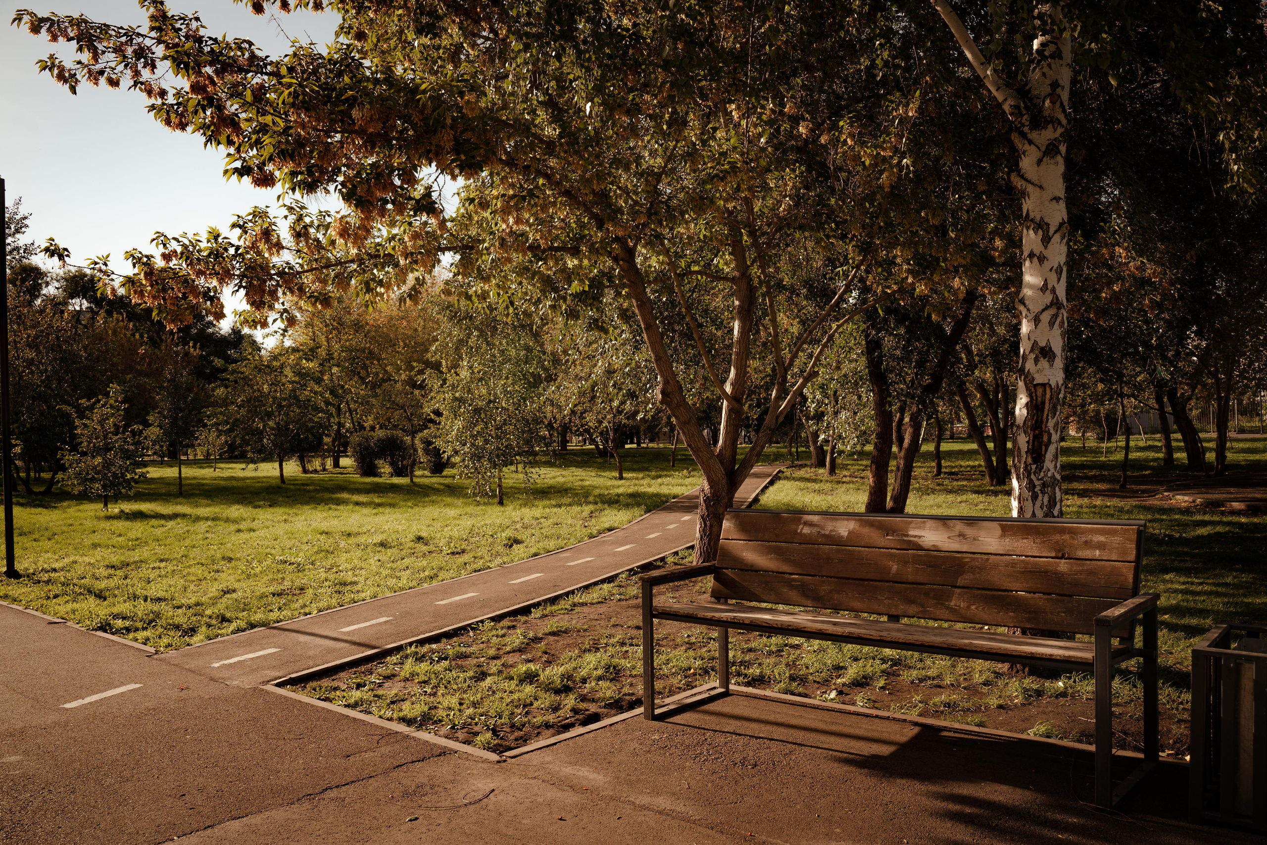 Фотопрогулки с животными. Фотограф Ким Наталья в Красноярске