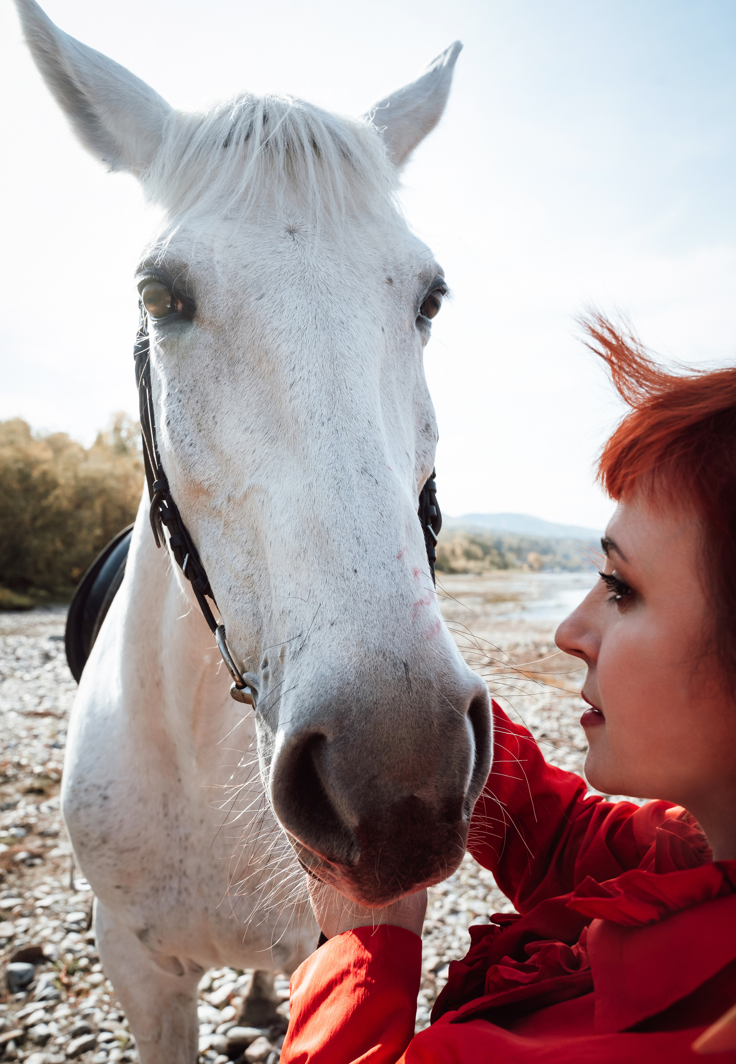 Фотосессия на конном дворе. Фотограф Ким Наталья в Красноярске