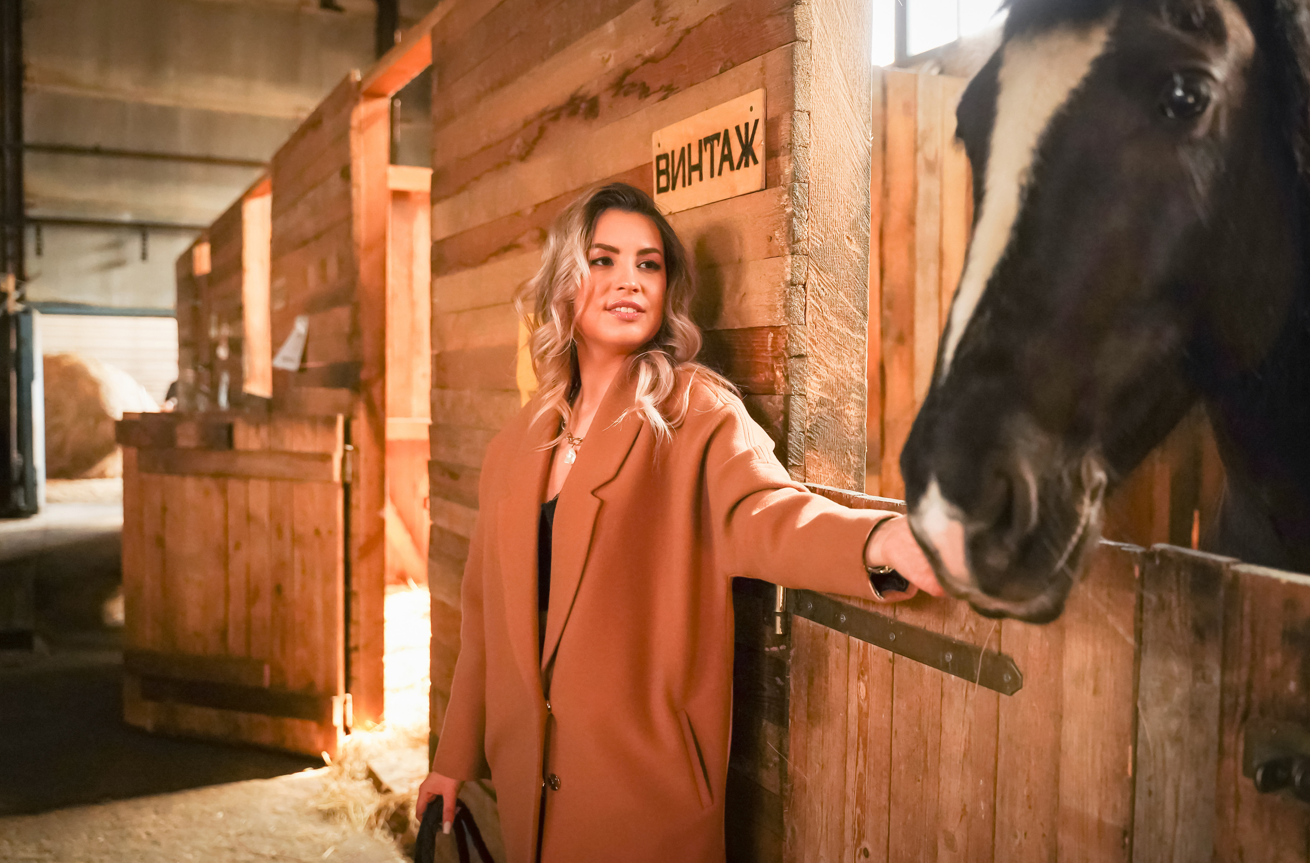 Фотосессии с лошадьми в Красноярске. Фотограф Ким Наталья в Красноярске