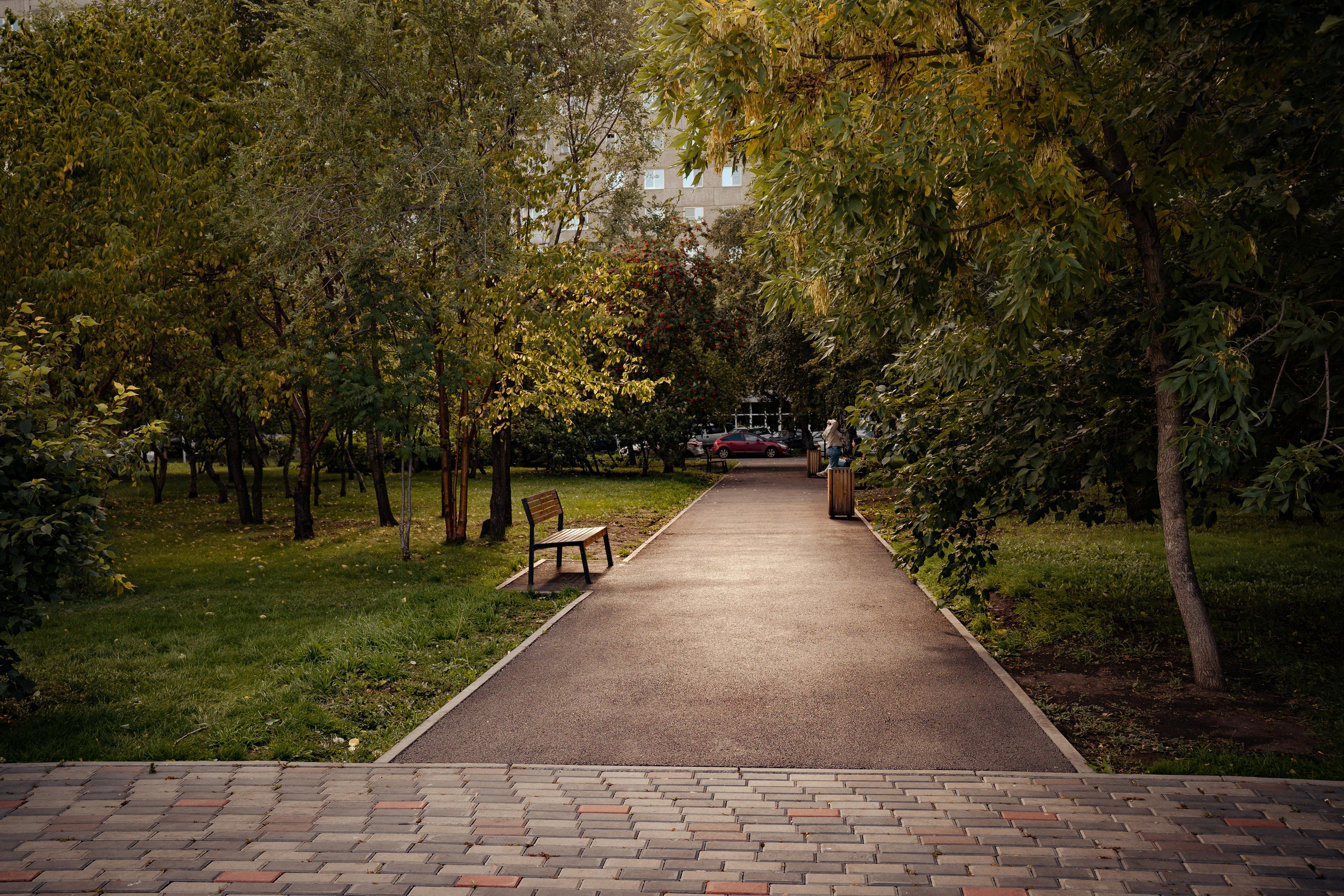 Фотопрогулки с животными. Фотограф Ким Наталья в Красноярске