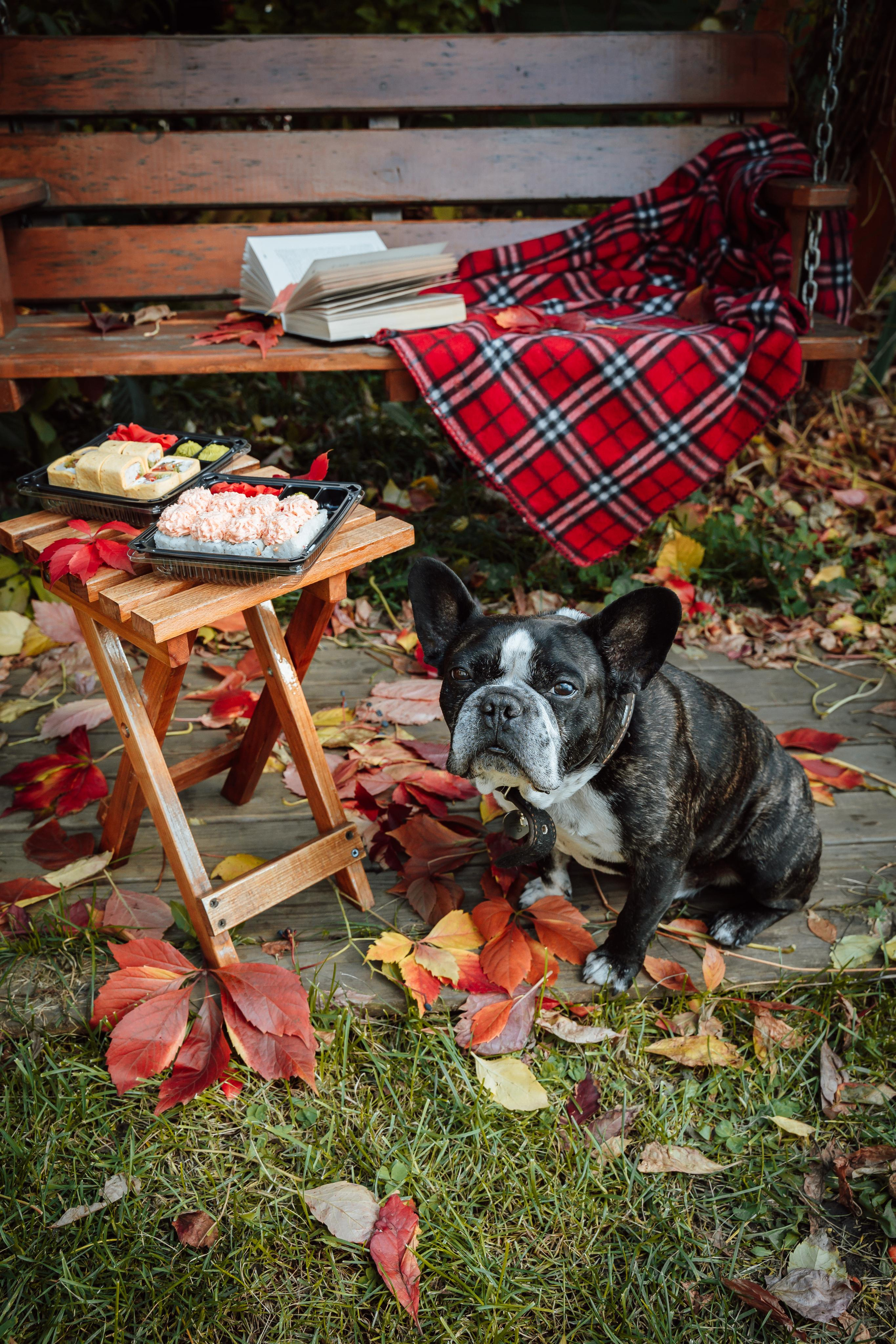 Фудфотограф Красноярск. Фотограф Ким Наталья в Красноярске
