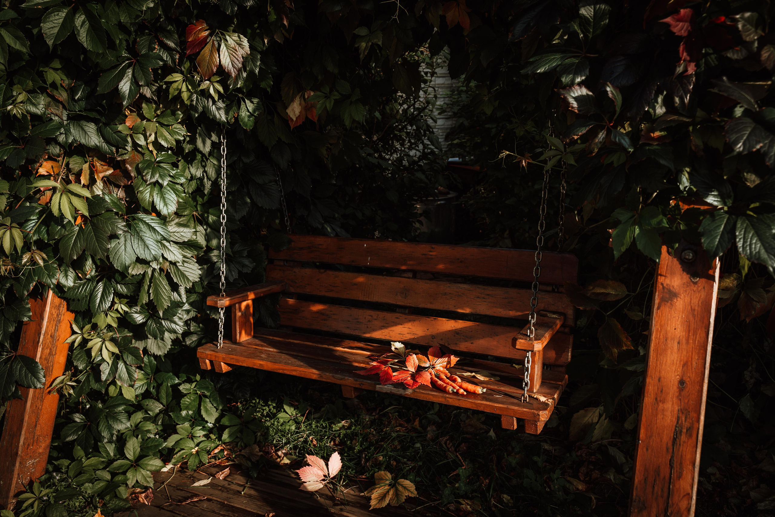 Фотограф для животных с выездом. Фотограф Ким Наталья в Красноярске