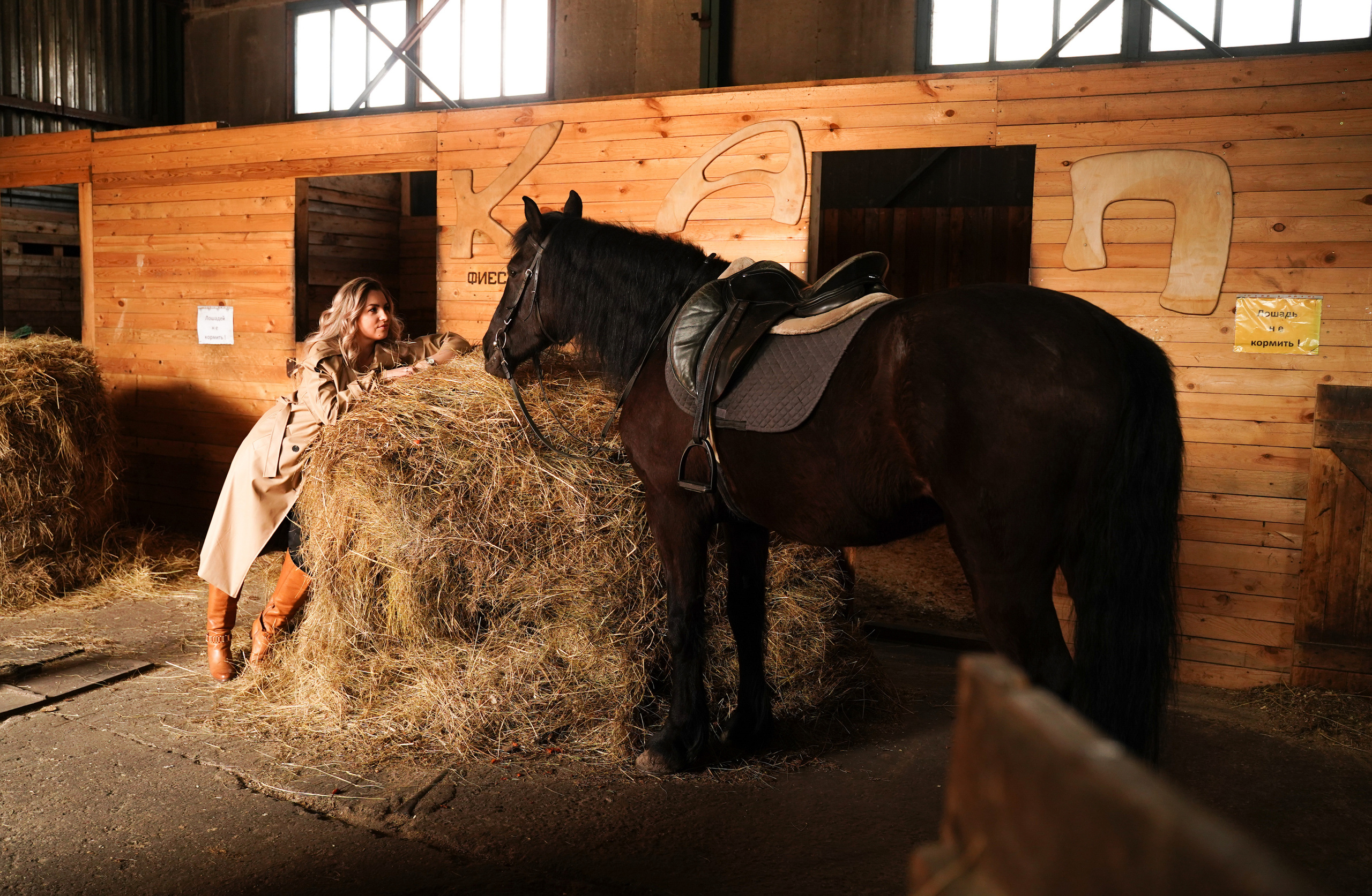 Фотосессии с лошадьми в Красноярске. Фотограф Ким Наталья в Красноярске