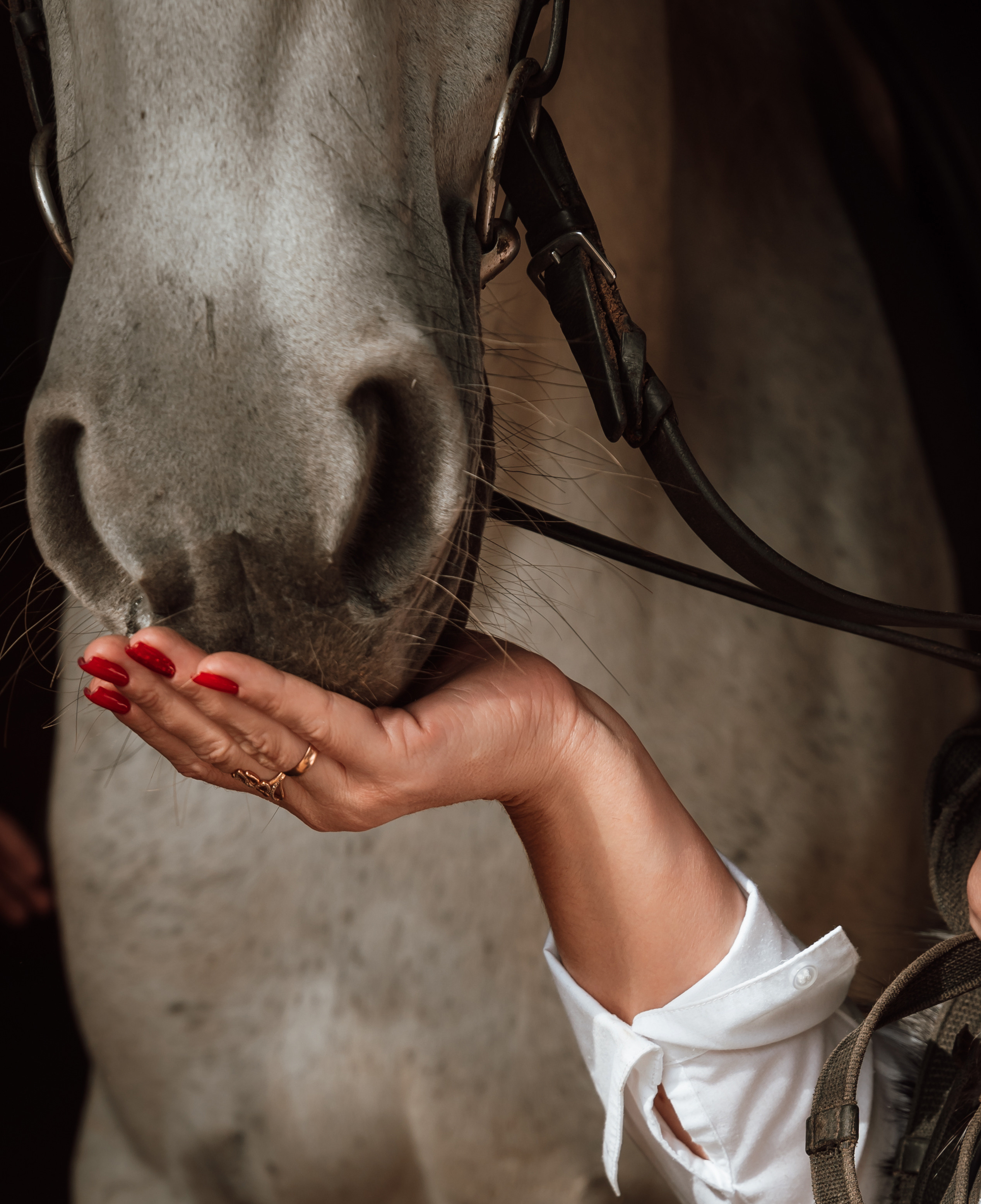 Фотосессия на конном дворе. Фотограф Ким Наталья в Красноярске