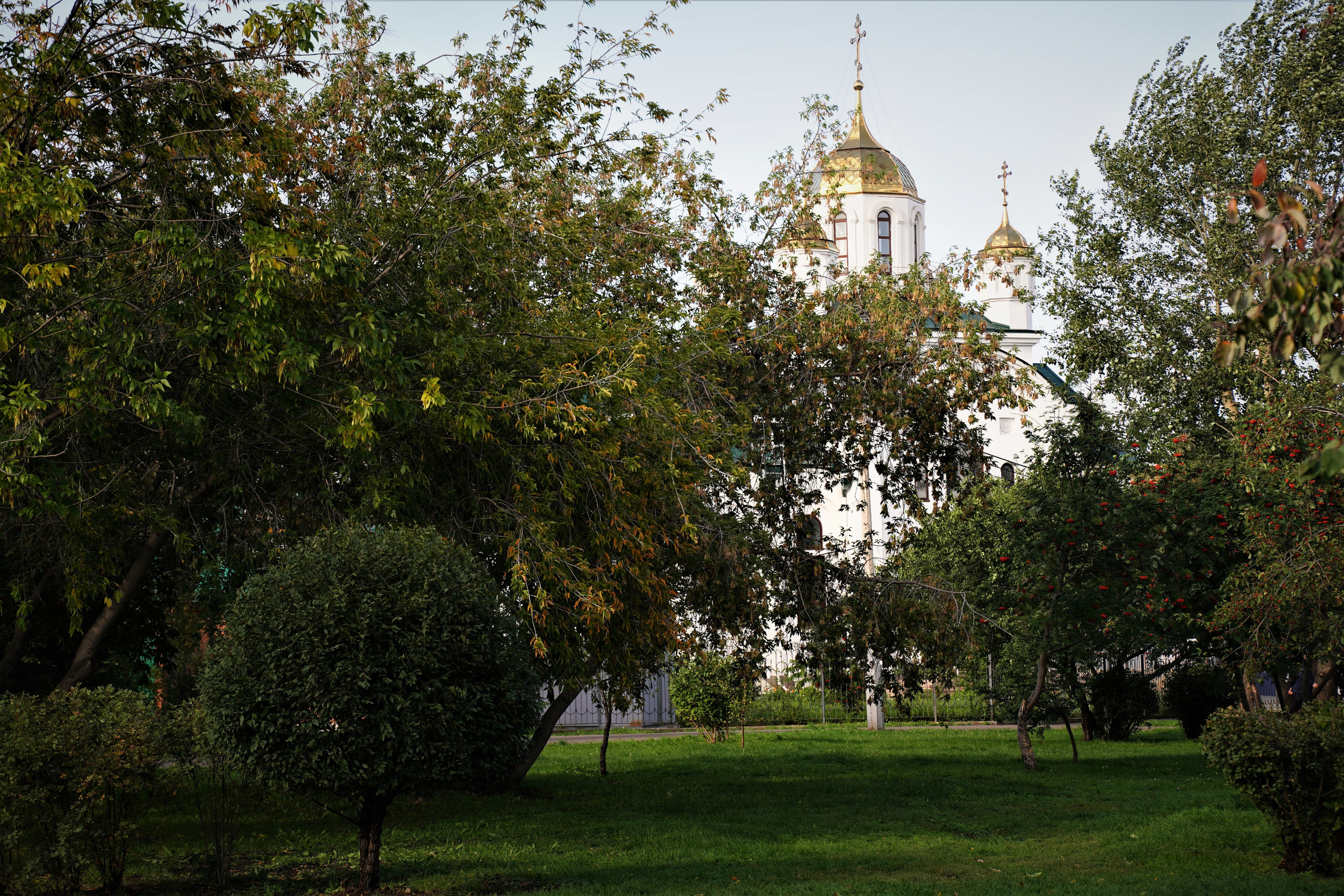 Фотопрогулки с животными. Фотограф Ким Наталья в Красноярске