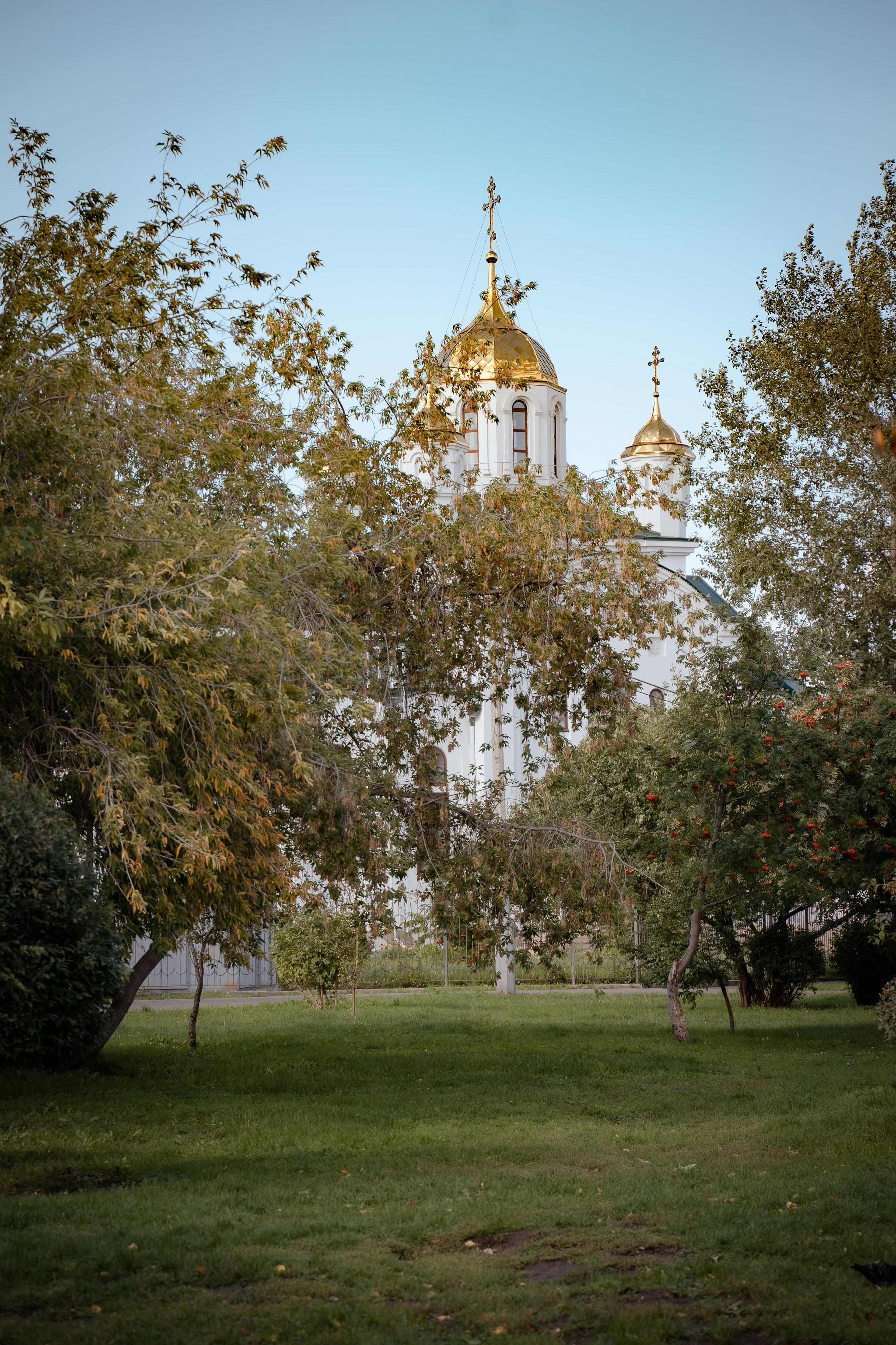 Фотопрогулки с животными. Фотограф Ким Наталья в Красноярске