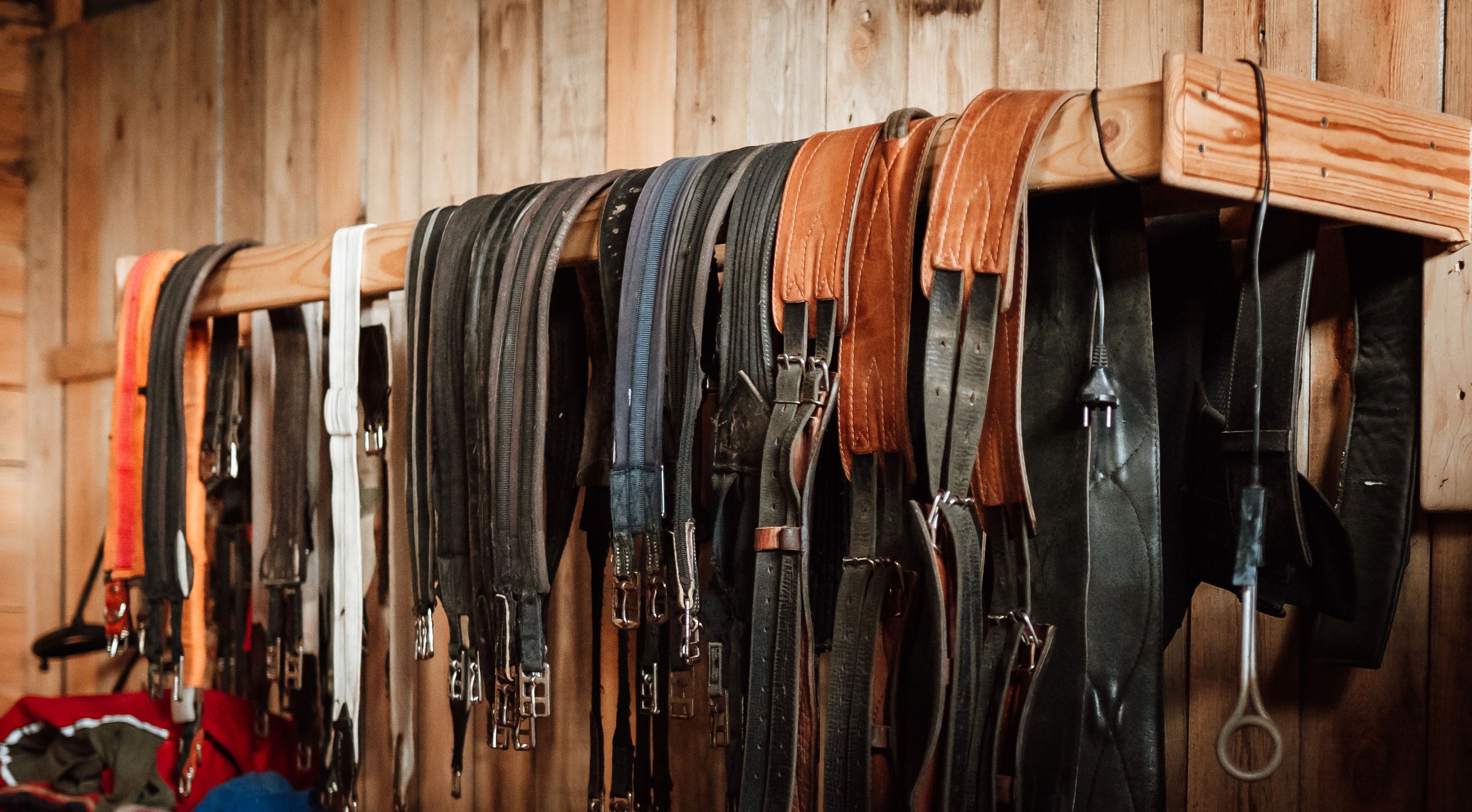 Фотосессия на конном дворе. Фотограф Ким Наталья в Красноярске