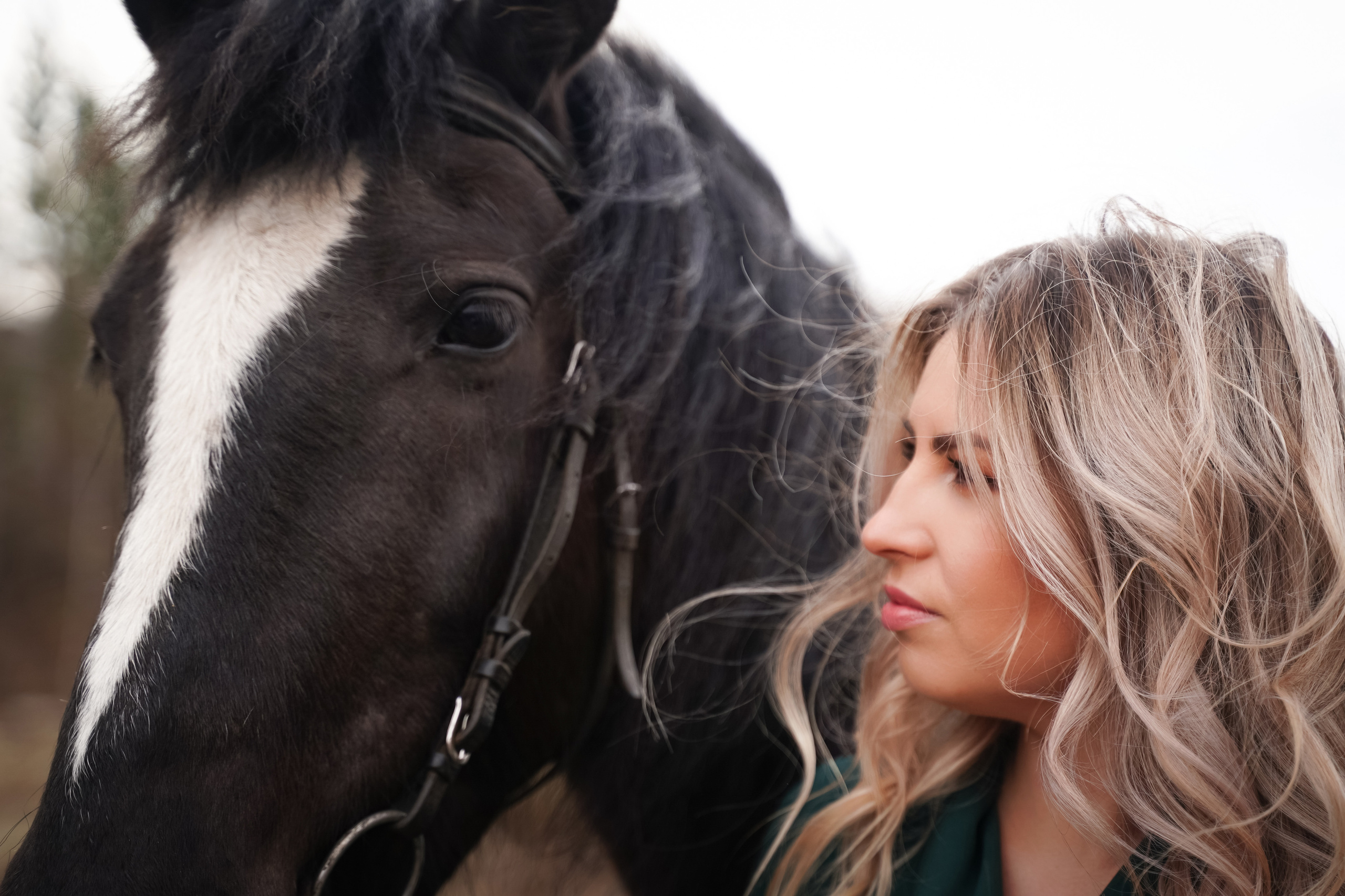 Фотосессии с лошадьми в Красноярске. Фотограф Ким Наталья в Красноярске