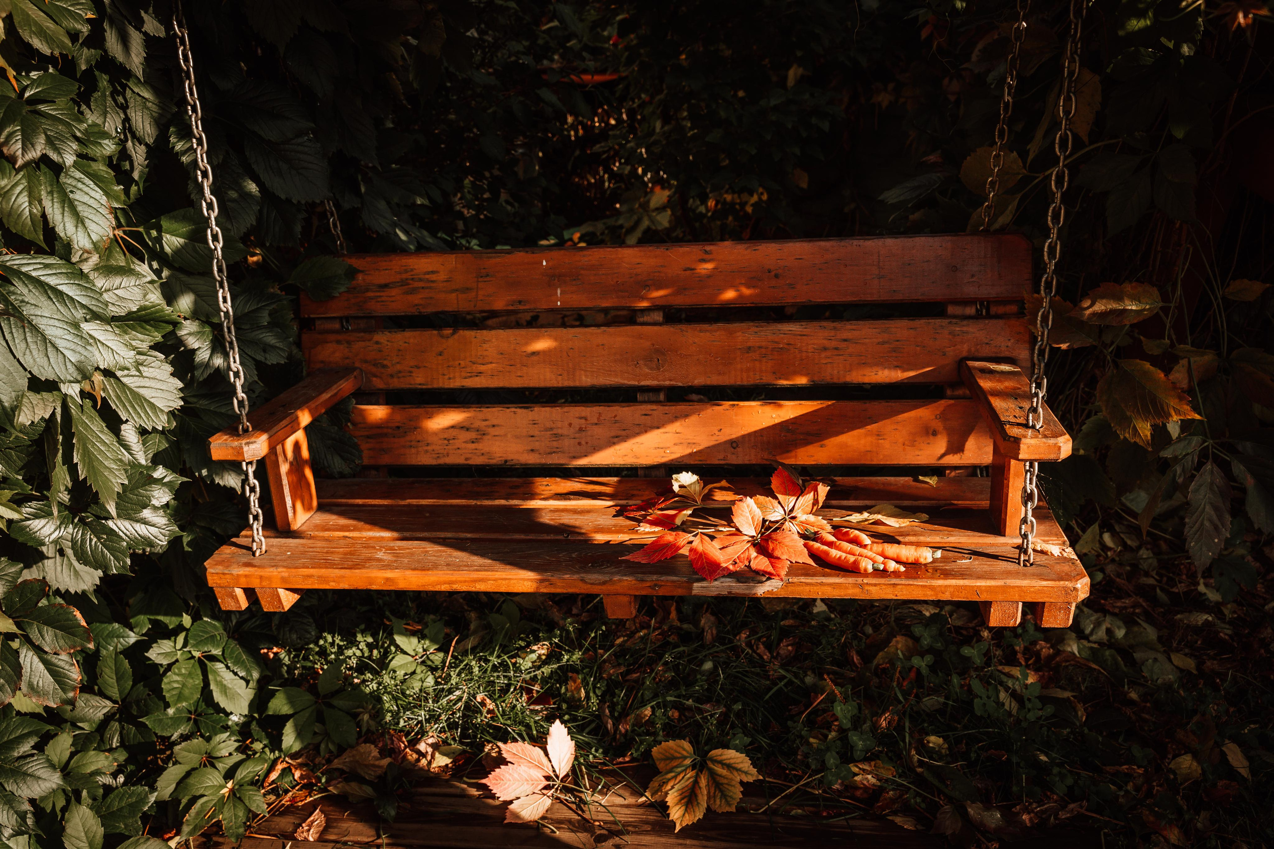 Фотограф для животных с выездом. Фотограф Ким Наталья в Красноярске