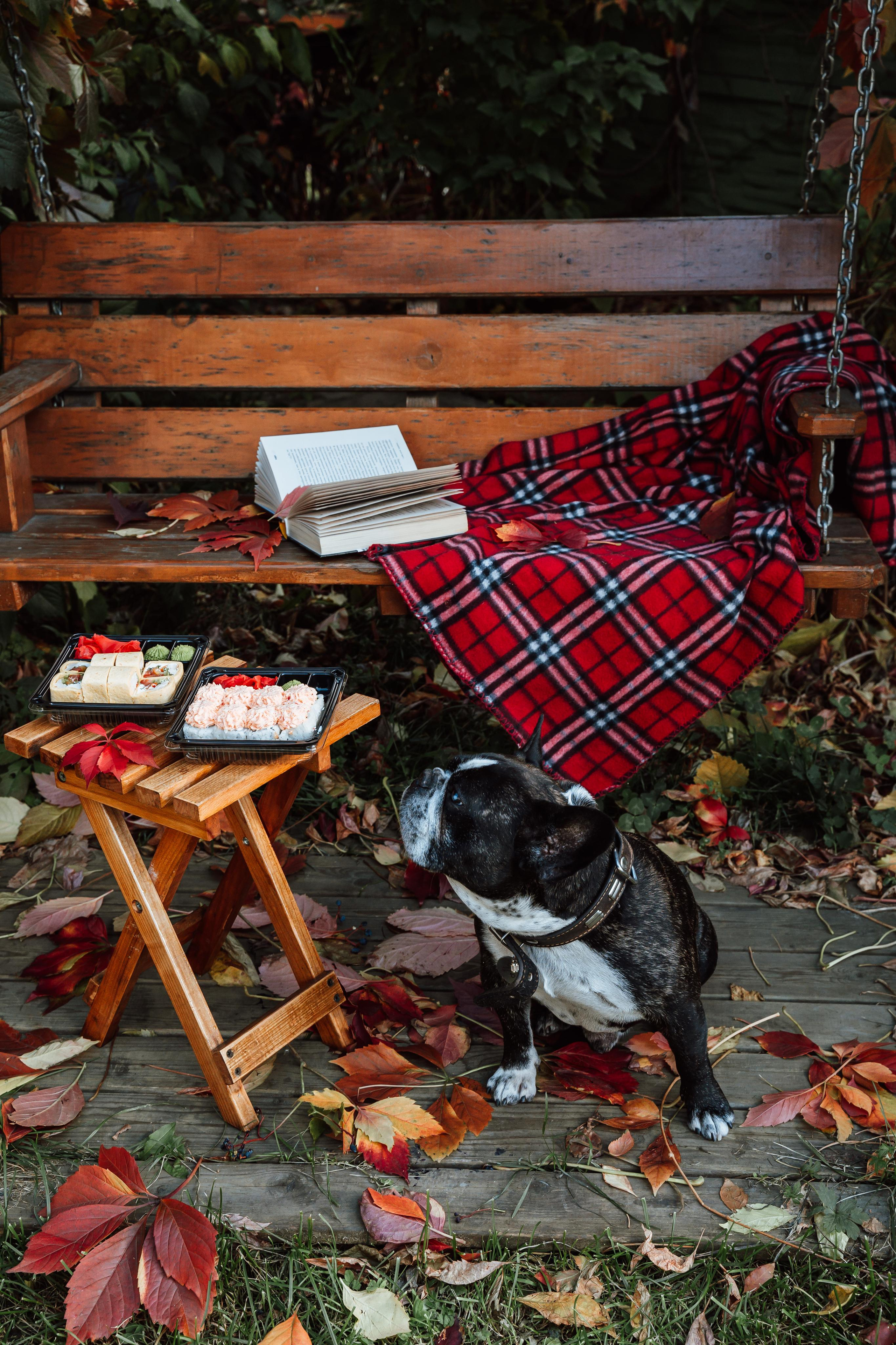 Фудфотограф Красноярск. Фотограф Ким Наталья в Красноярске