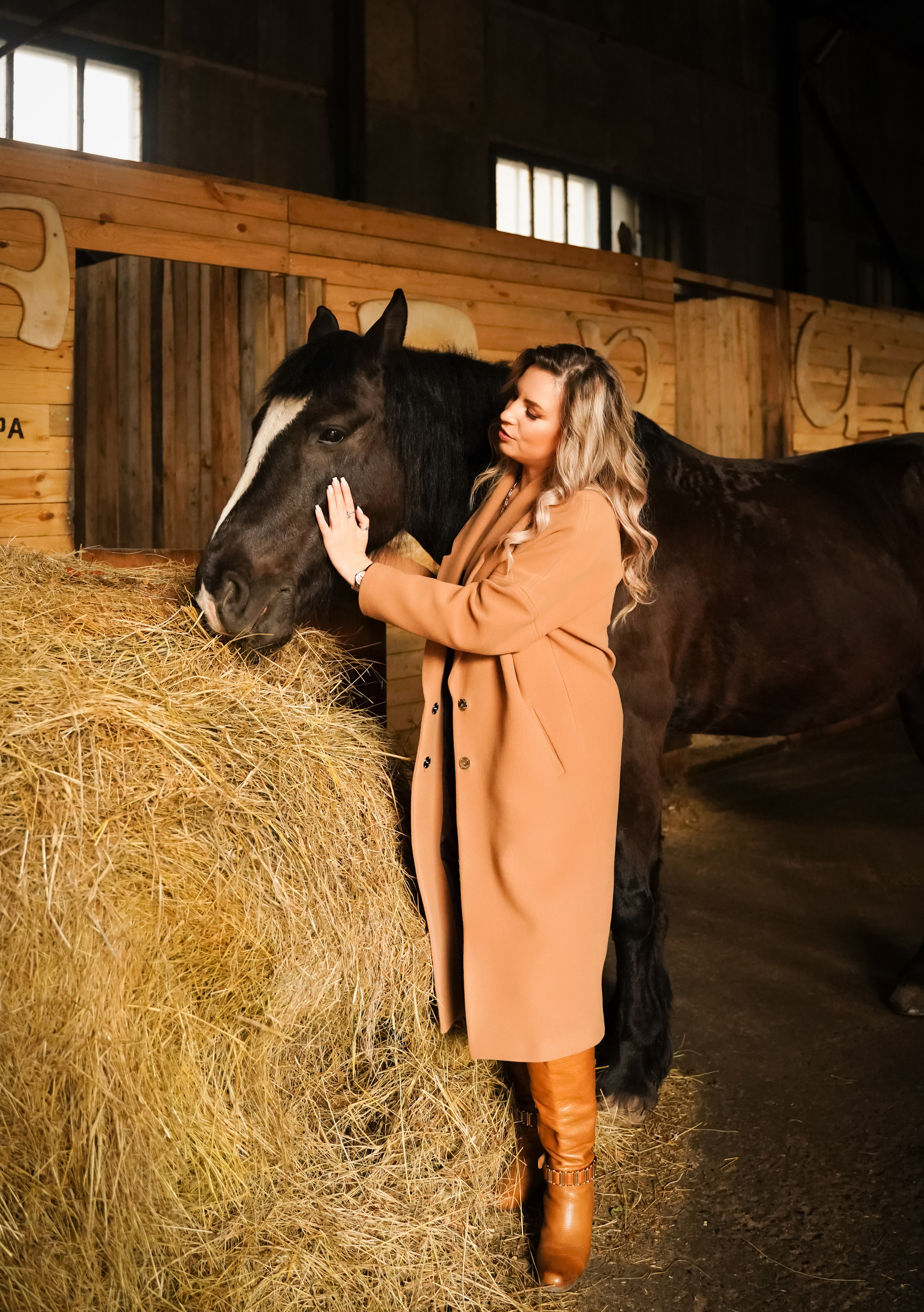 Фотосессии с лошадьми в Красноярске. Фотограф Ким Наталья в Красноярске