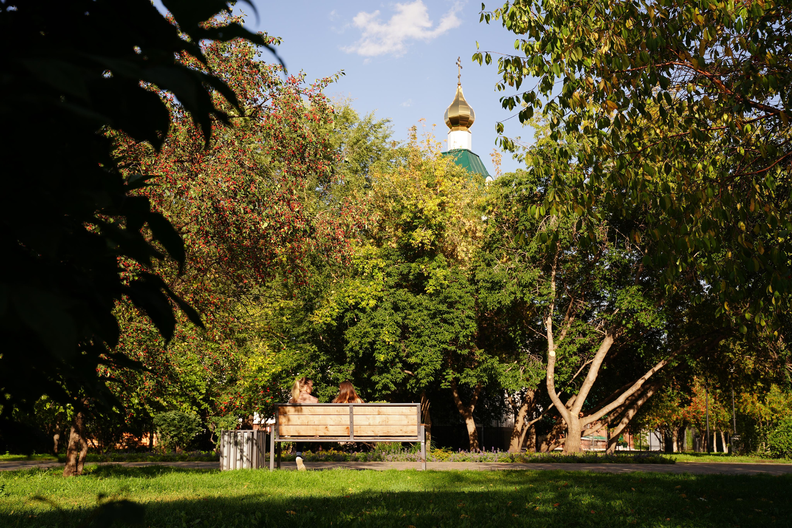 Фотопрогулки с животными. Фотограф Ким Наталья в Красноярске