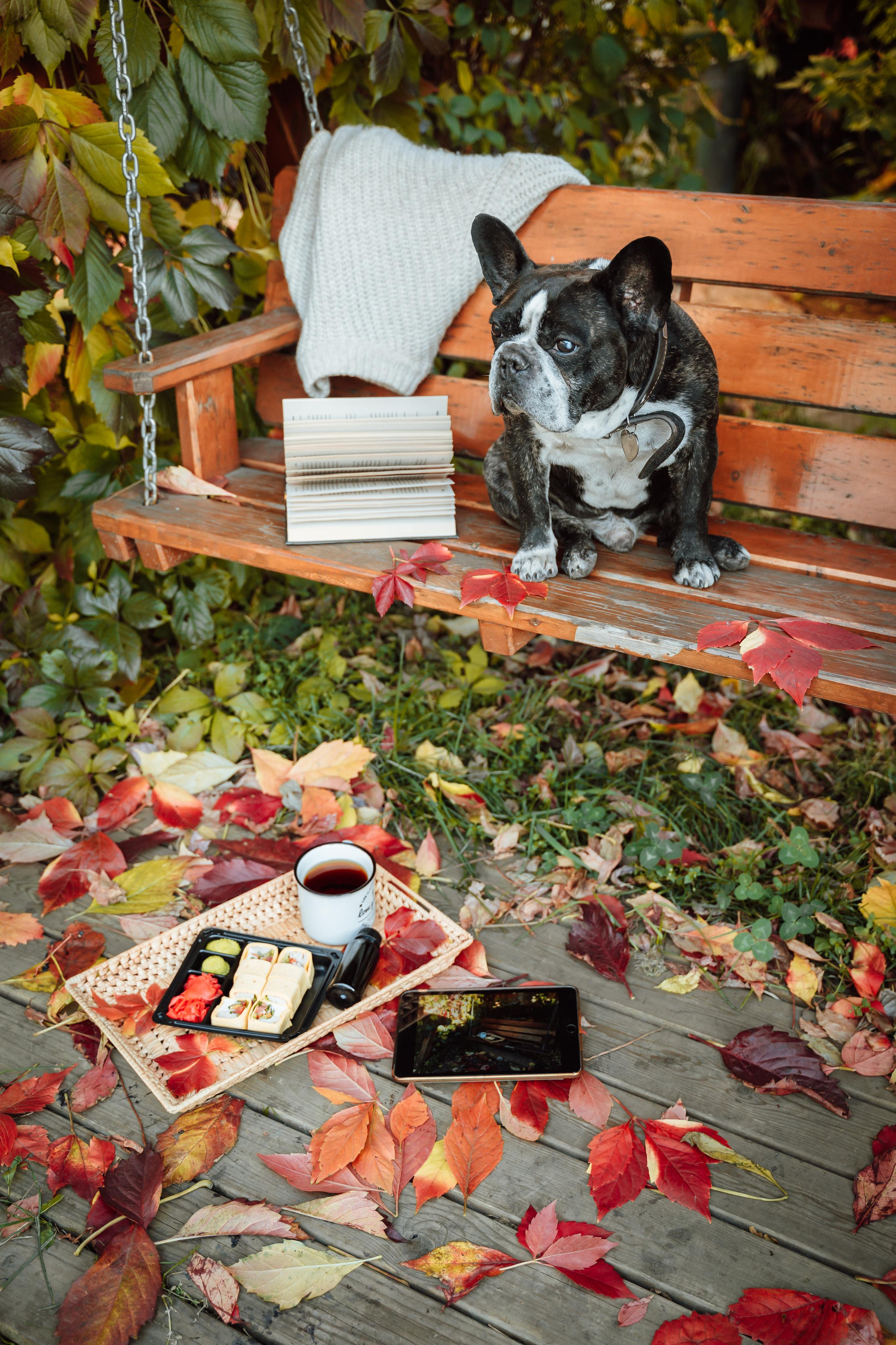 Фудфотограф Красноярск. Фотограф Ким Наталья в Красноярске