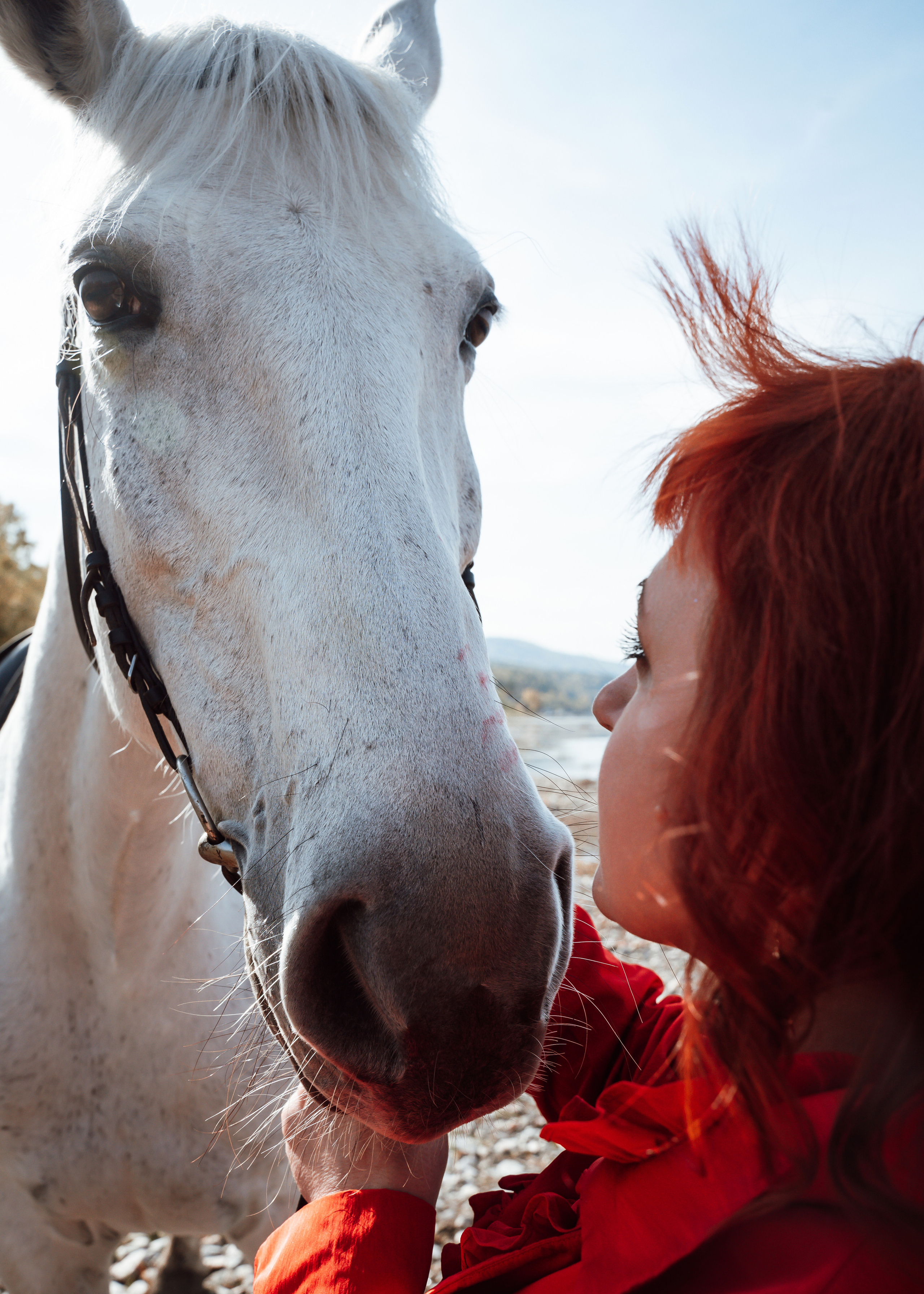 Фотосессия на конном дворе. Фотограф Ким Наталья в Красноярске