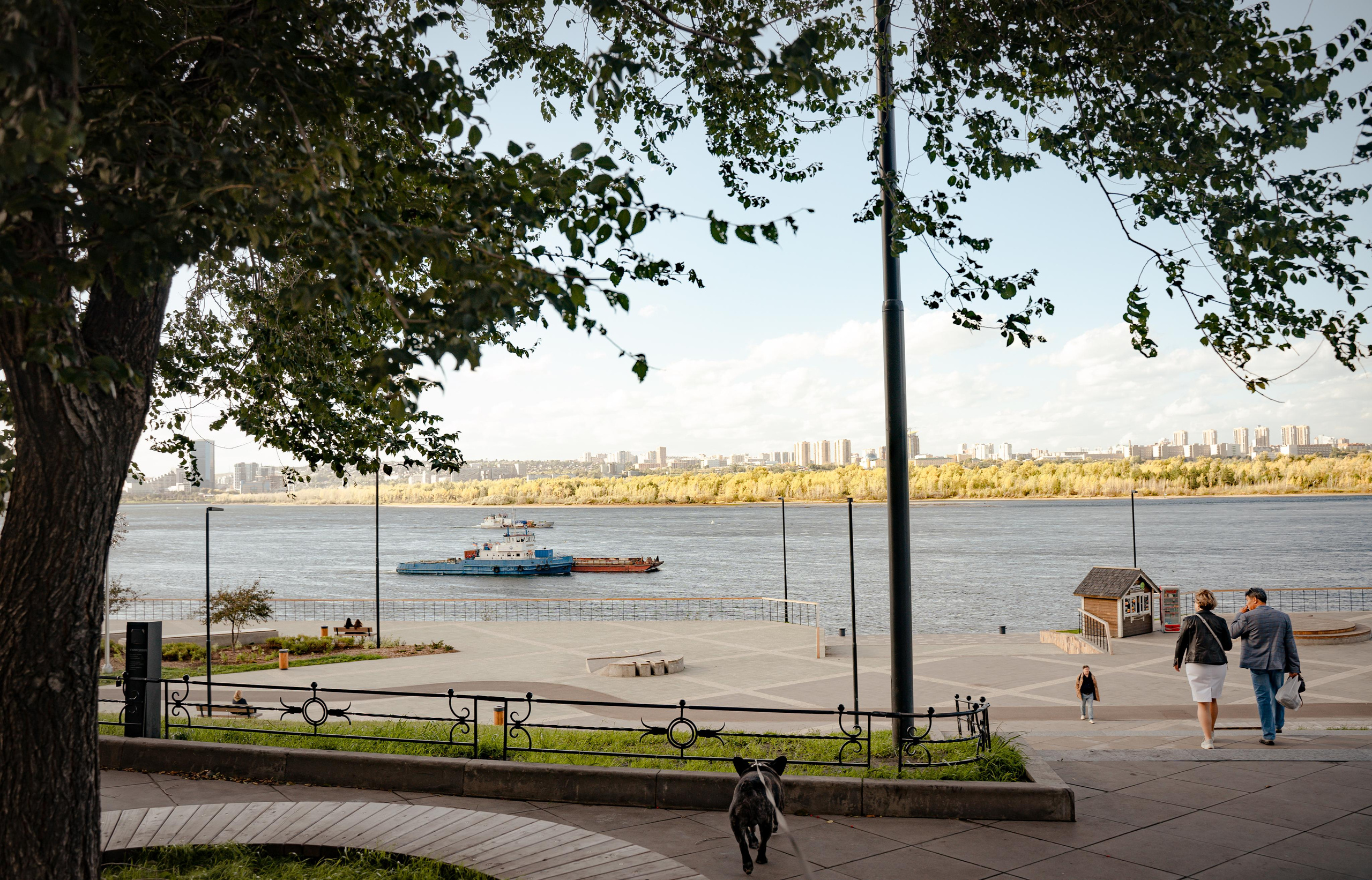 Фотопрогулки с животными. Фотограф Ким Наталья в Красноярске