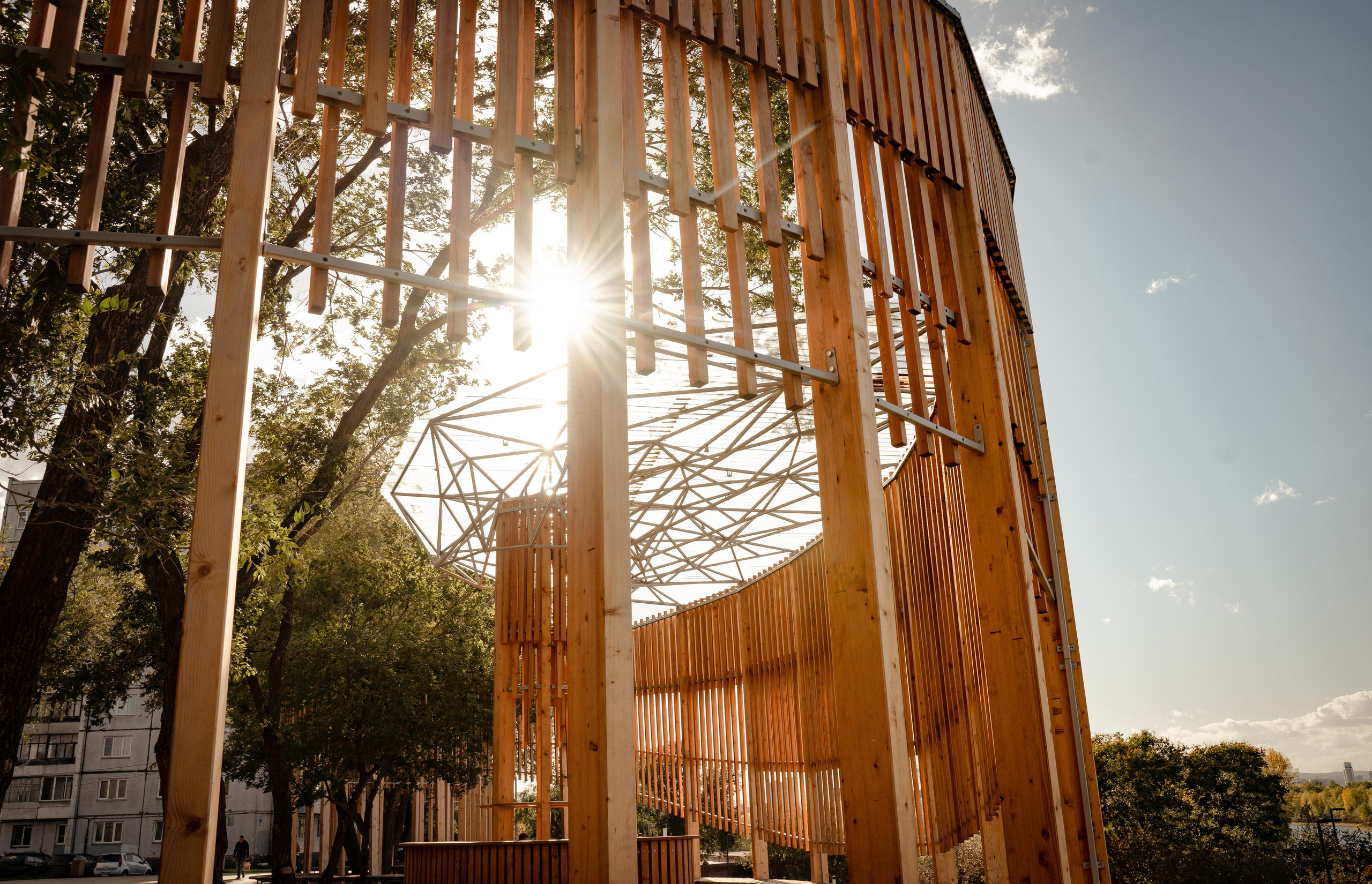 Фотопрогулки с животными. Фотограф Ким Наталья в Красноярске