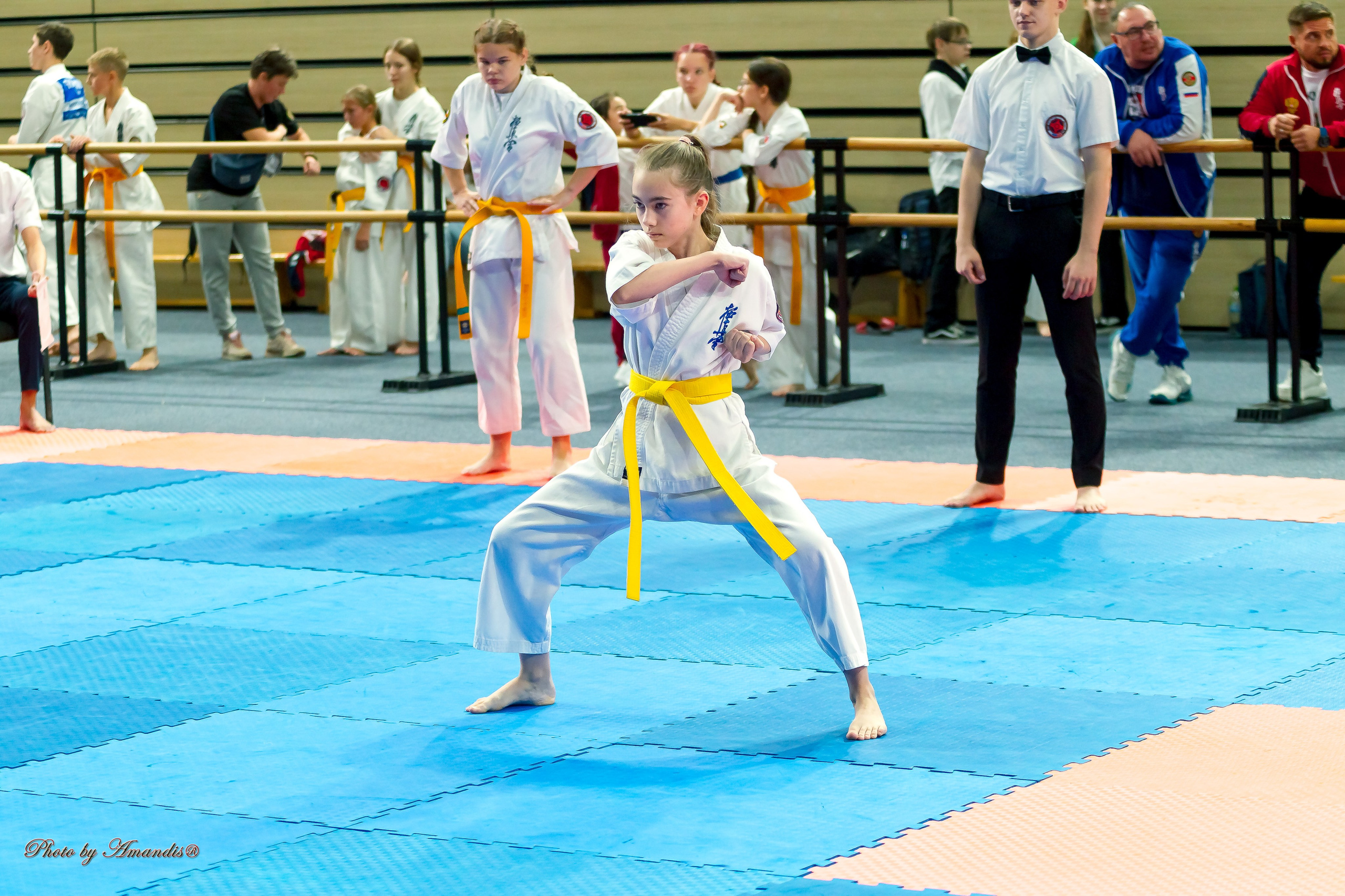 Первенство Московской области по Киокушин в СК «Жаворонки». Репортажная съемка в Москве и области. Анималистика
