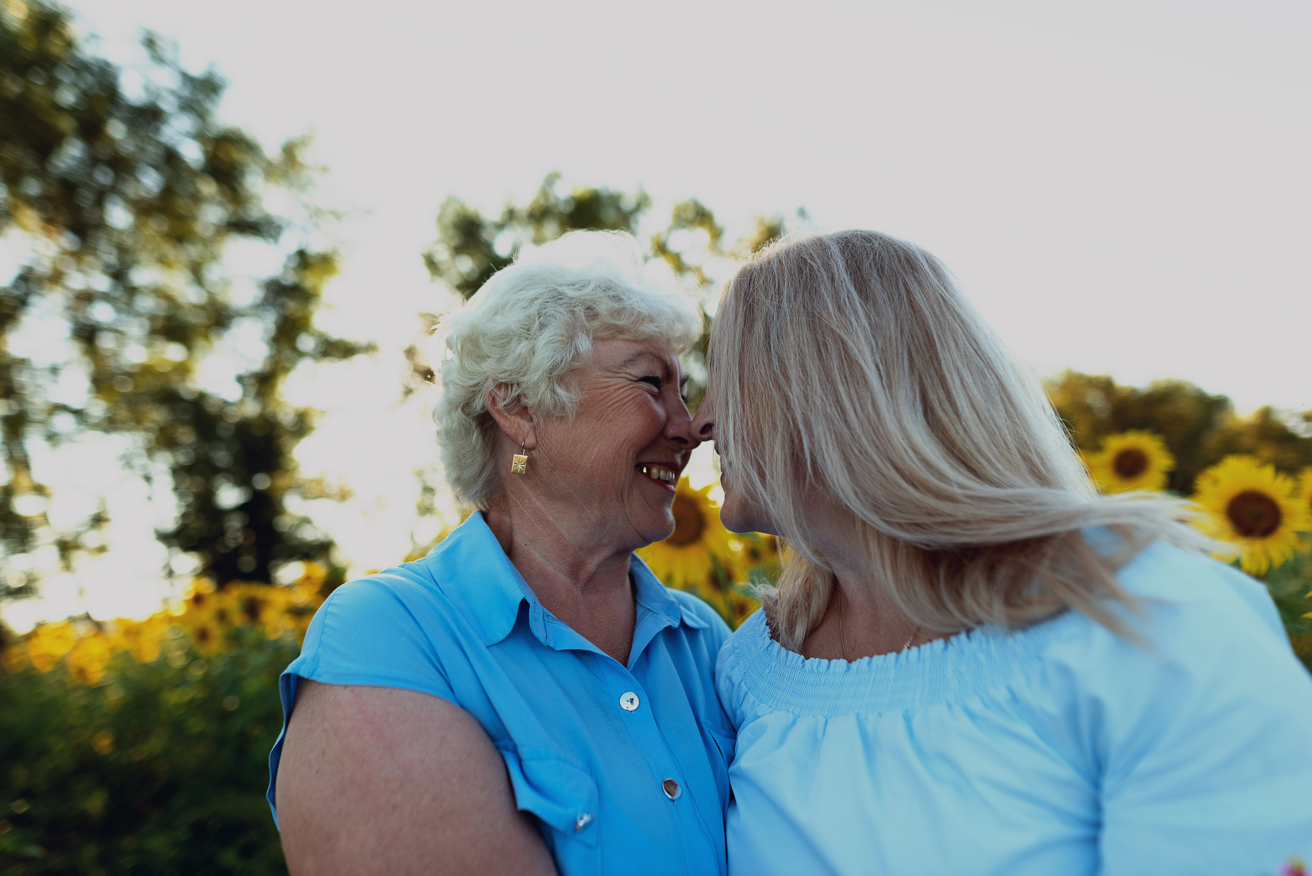 Подсолнухи. Фотограф в Абакане и Минусинске