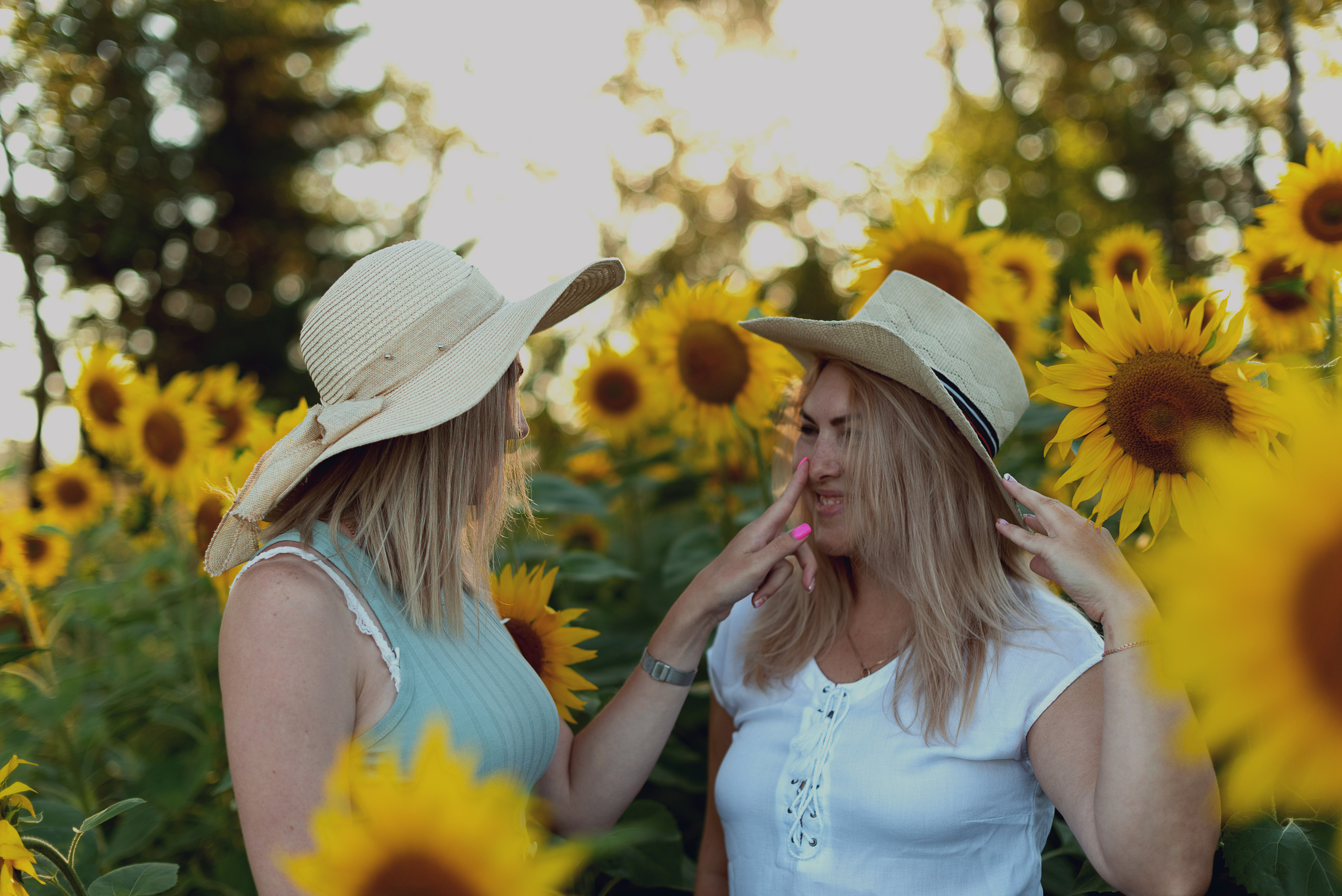 Подсолнухи. Фотограф в Абакане и Минусинске