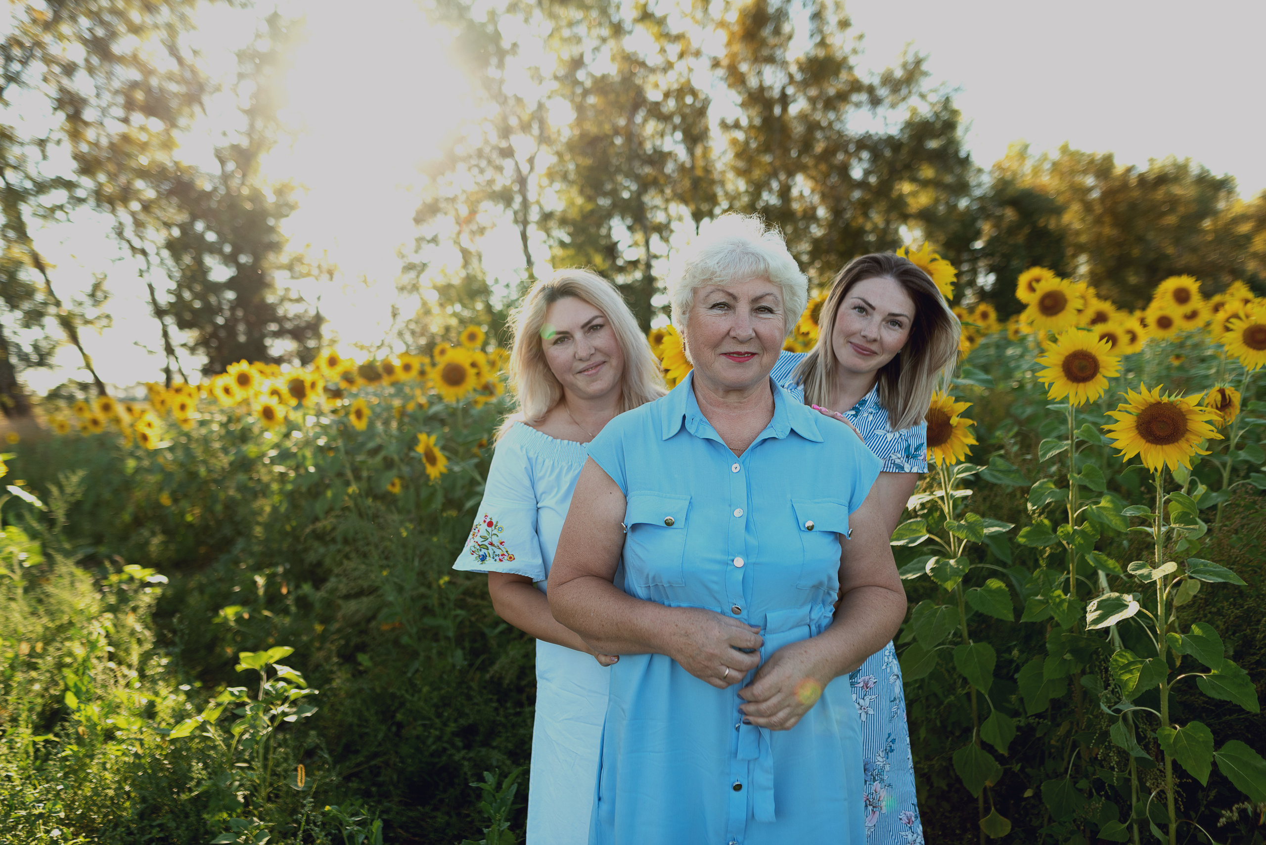 Подсолнухи. Фотограф в Абакане и Минусинске