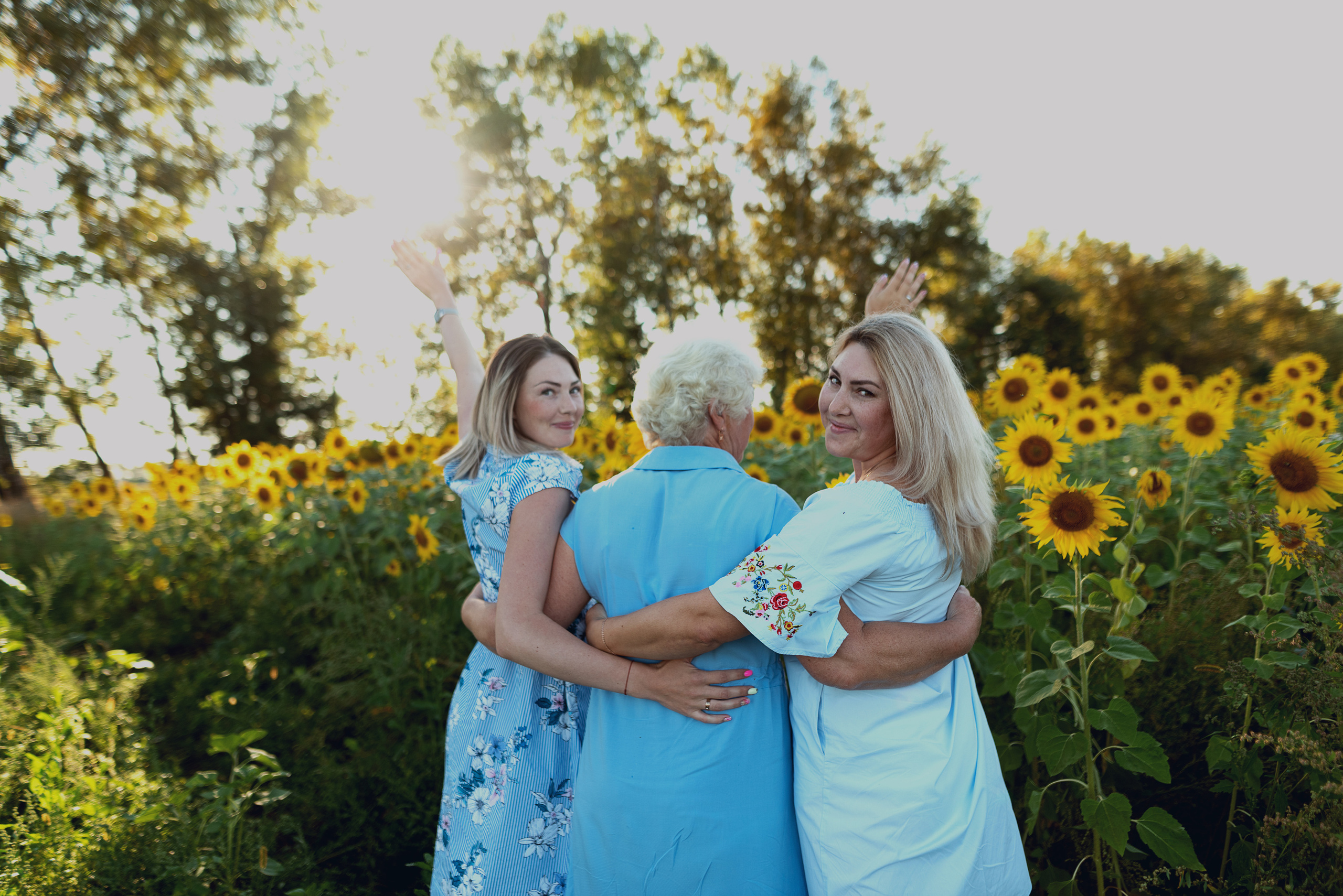 Подсолнухи. Фотограф в Абакане и Минусинске