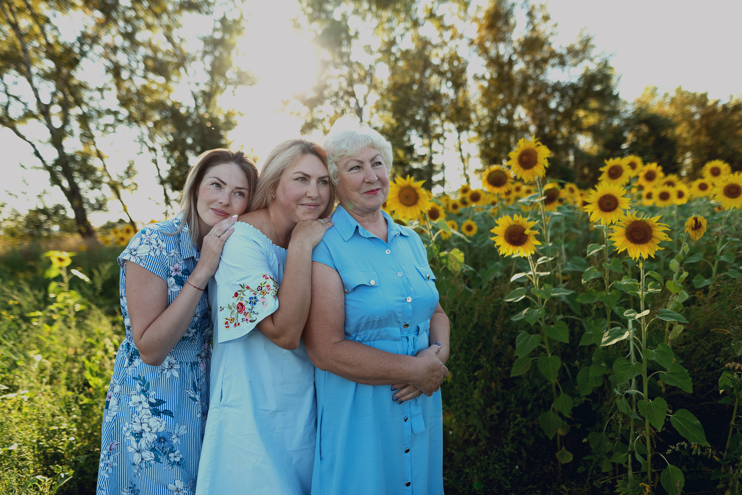 Подсолнухи. Фотограф в Абакане и Минусинске