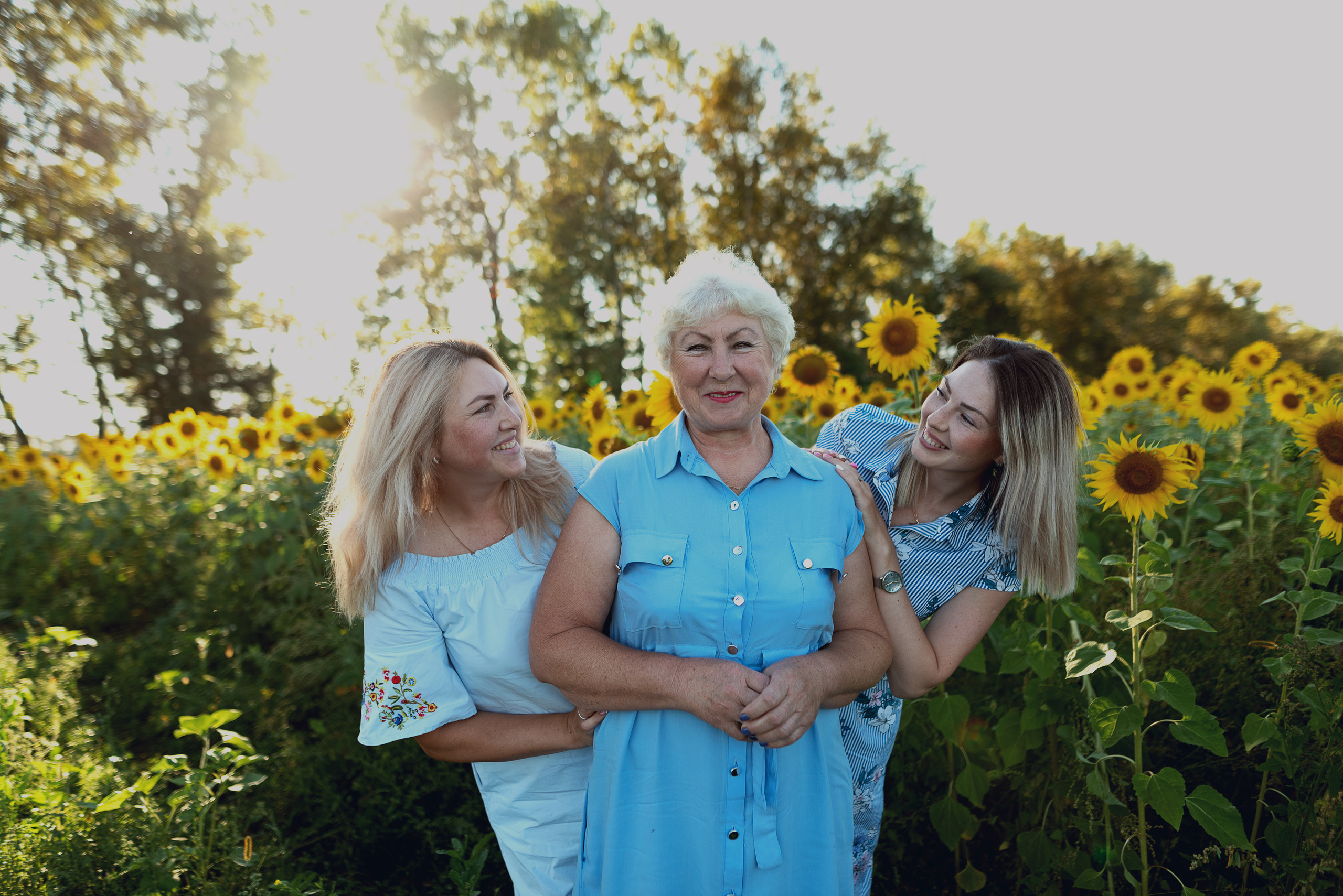 Подсолнухи. Фотограф в Абакане и Минусинске