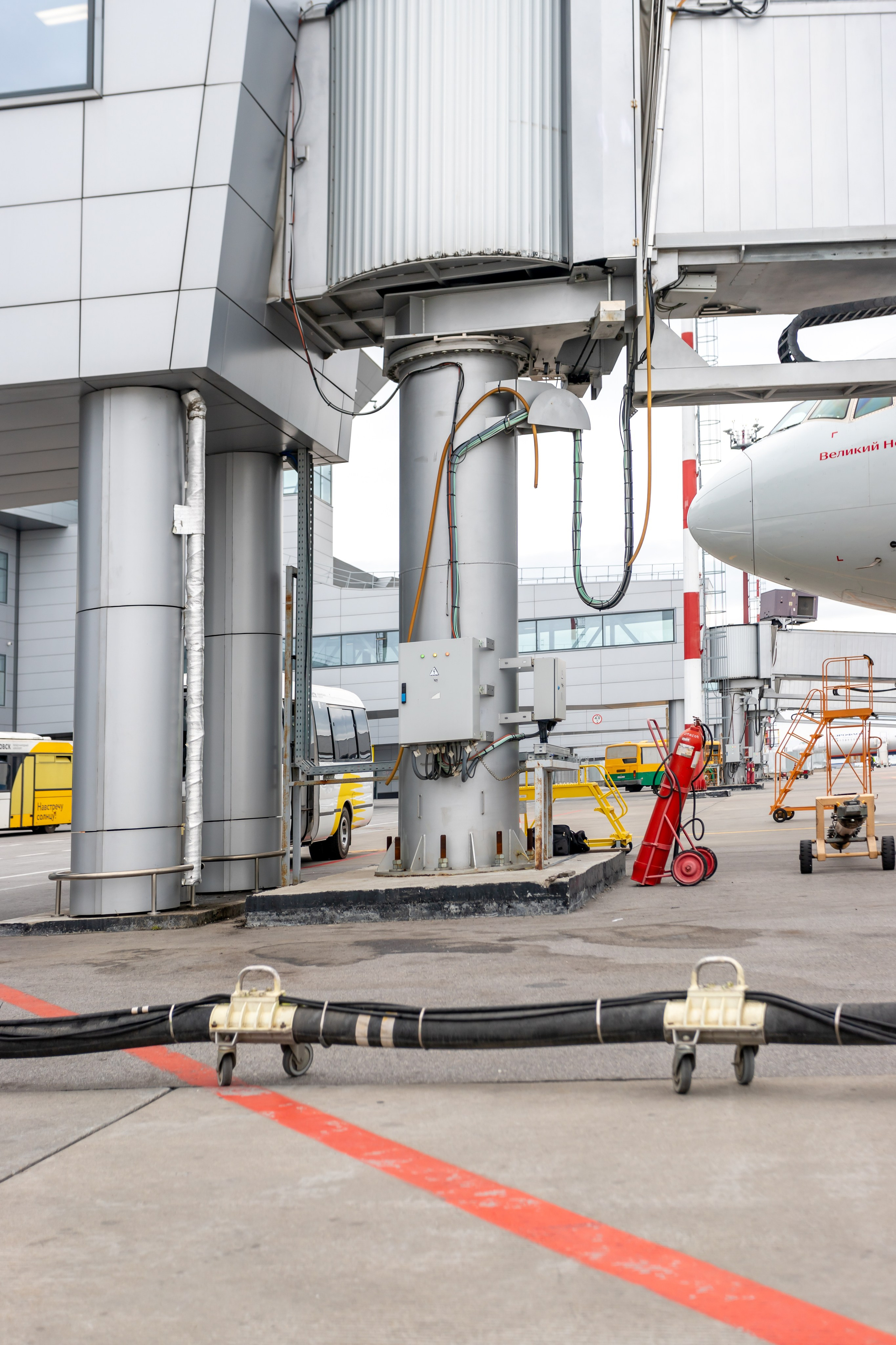 Споттинг 2024. Семейный и детский фотограф в Хабаровске Алевтина Проскурякова