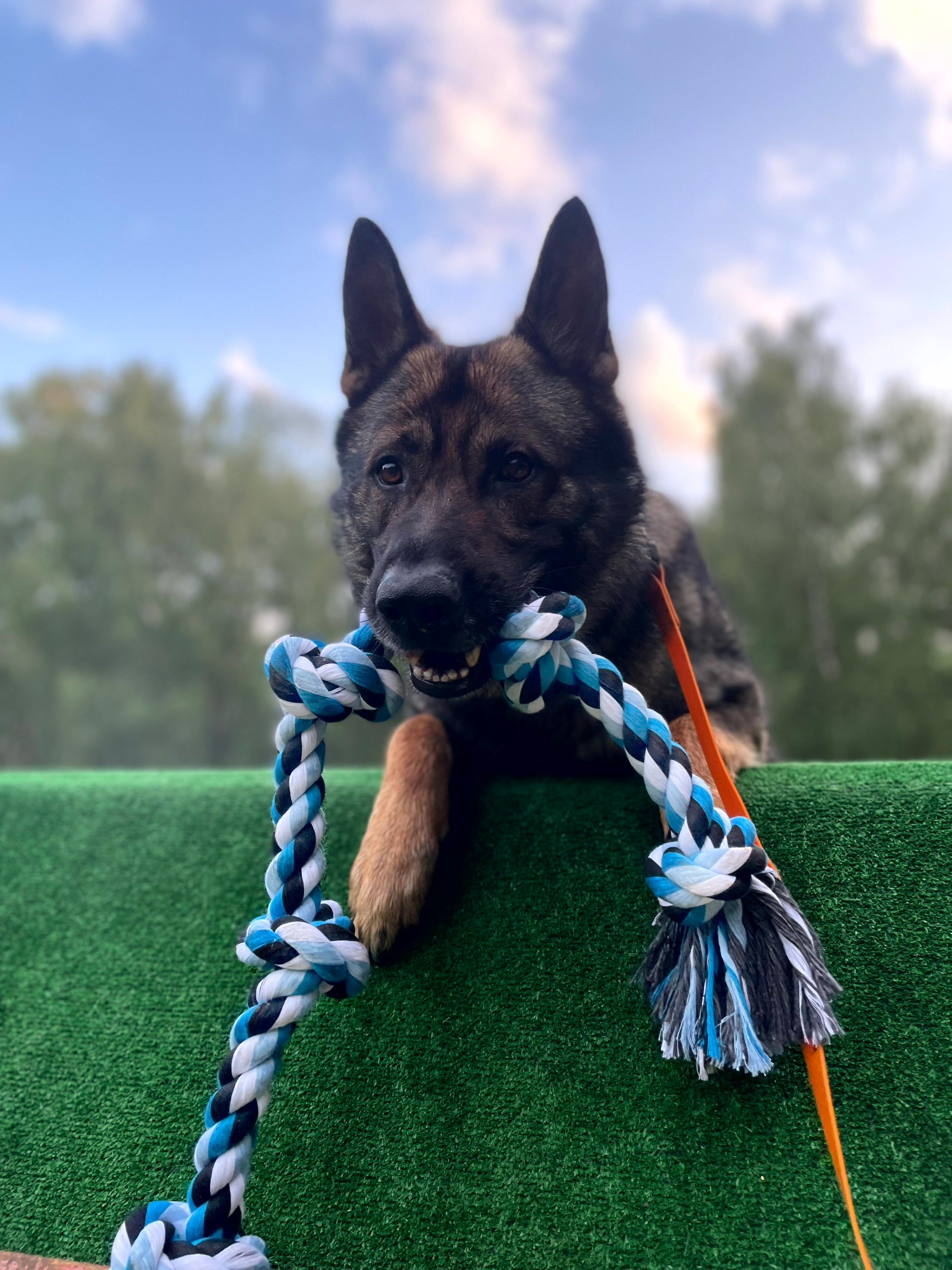 Стрит съёмка