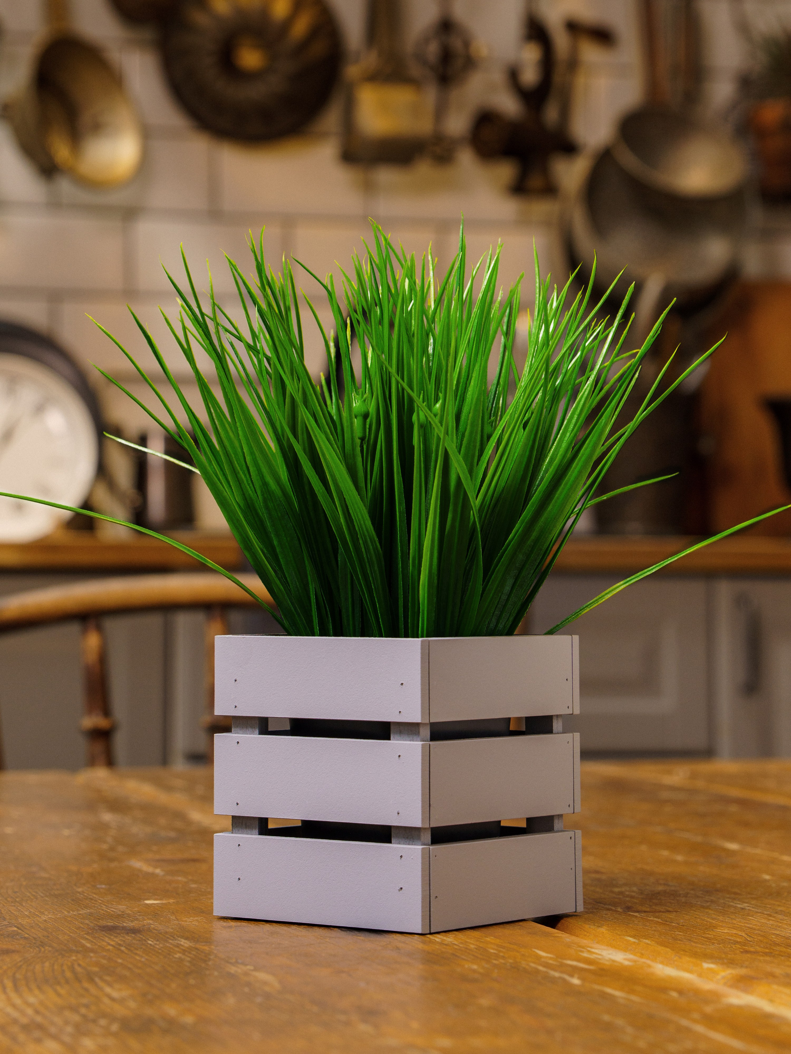 Кашпо. Макаров Сергей|Creamlebot Фотограф города Ростов-на-Дону