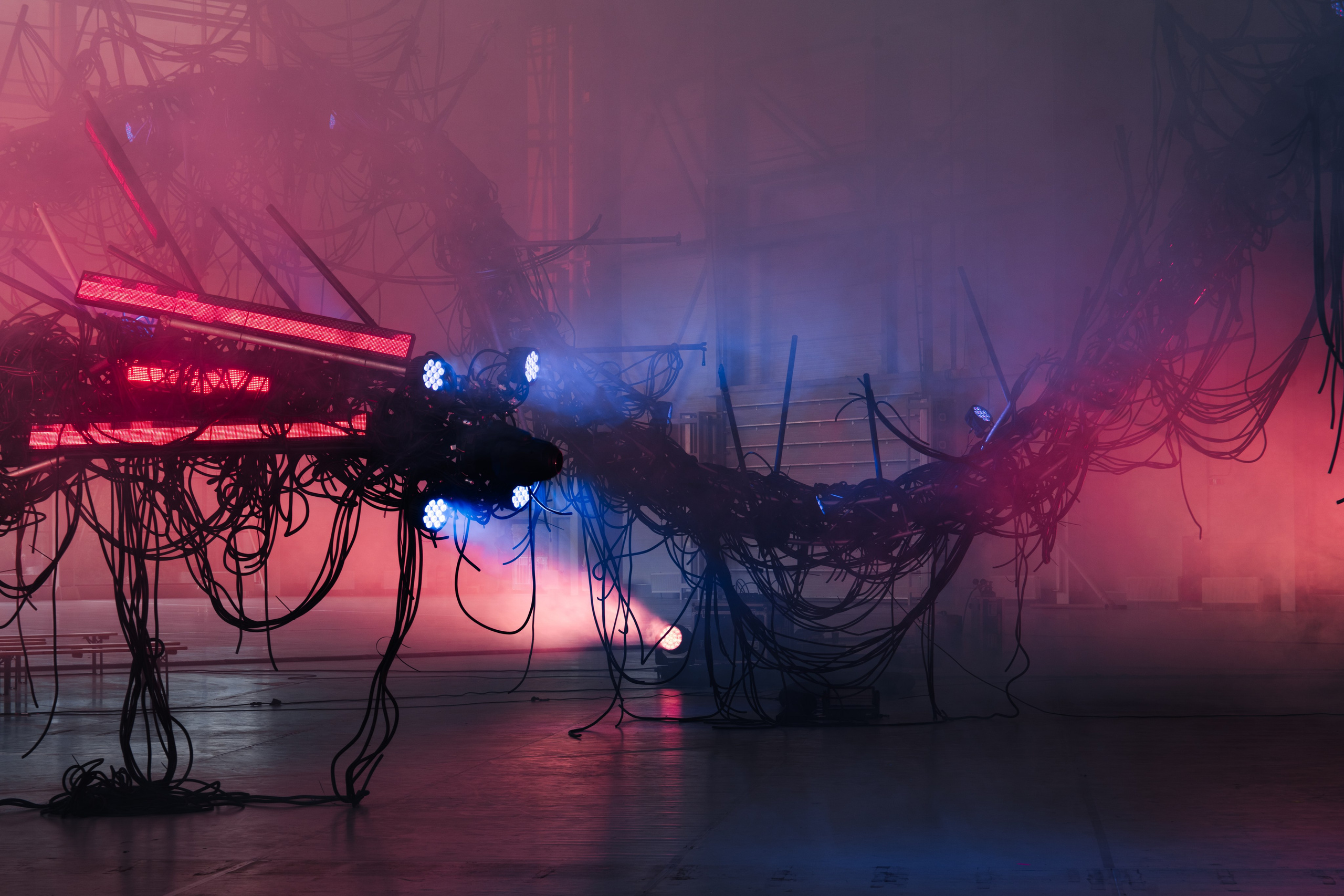 PANTERRA, CHRONOMORPH 001. @tomrus: Рустам Шагиморданов — фотограф