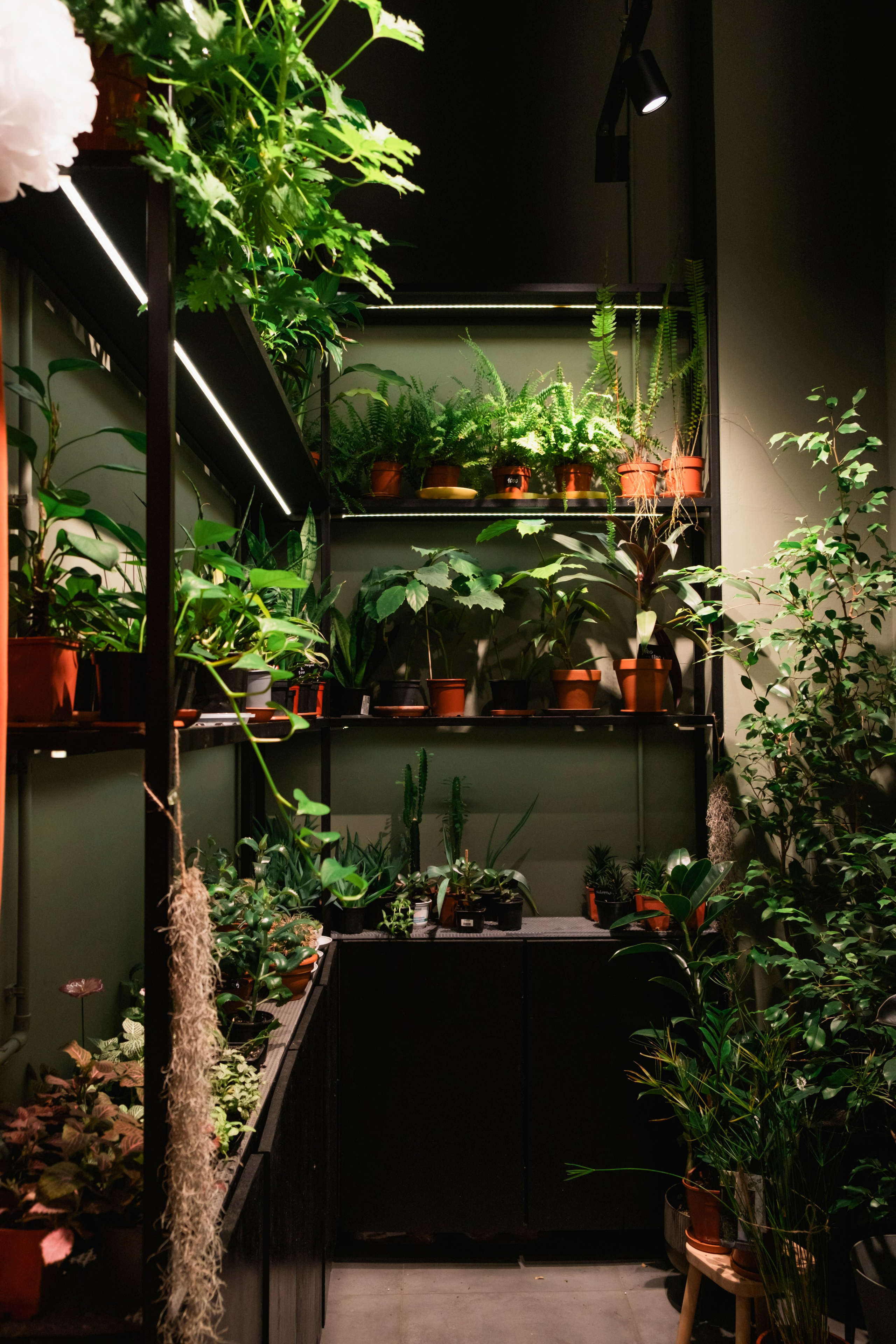 Контент-съемка. Портретный и fashion-фотограф в Санкт-Петербурге Олеся Поле